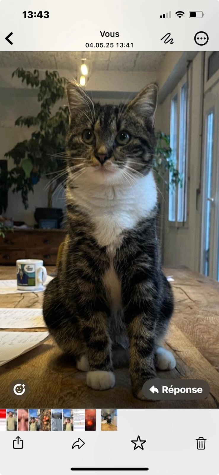 Suze - Quartier Bellevue, Broc