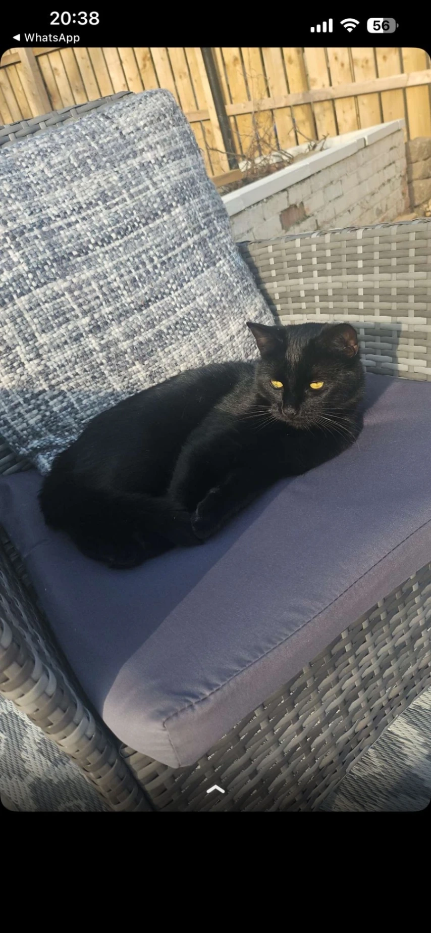 Broxi - Scotia Crescent, Larkhall