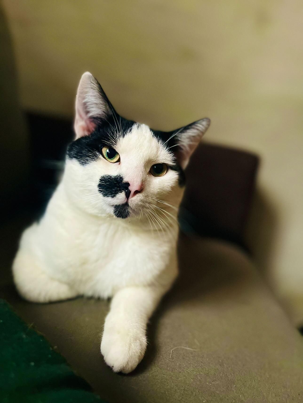 Machik (Mark) - Kreuzstraße, Gransee