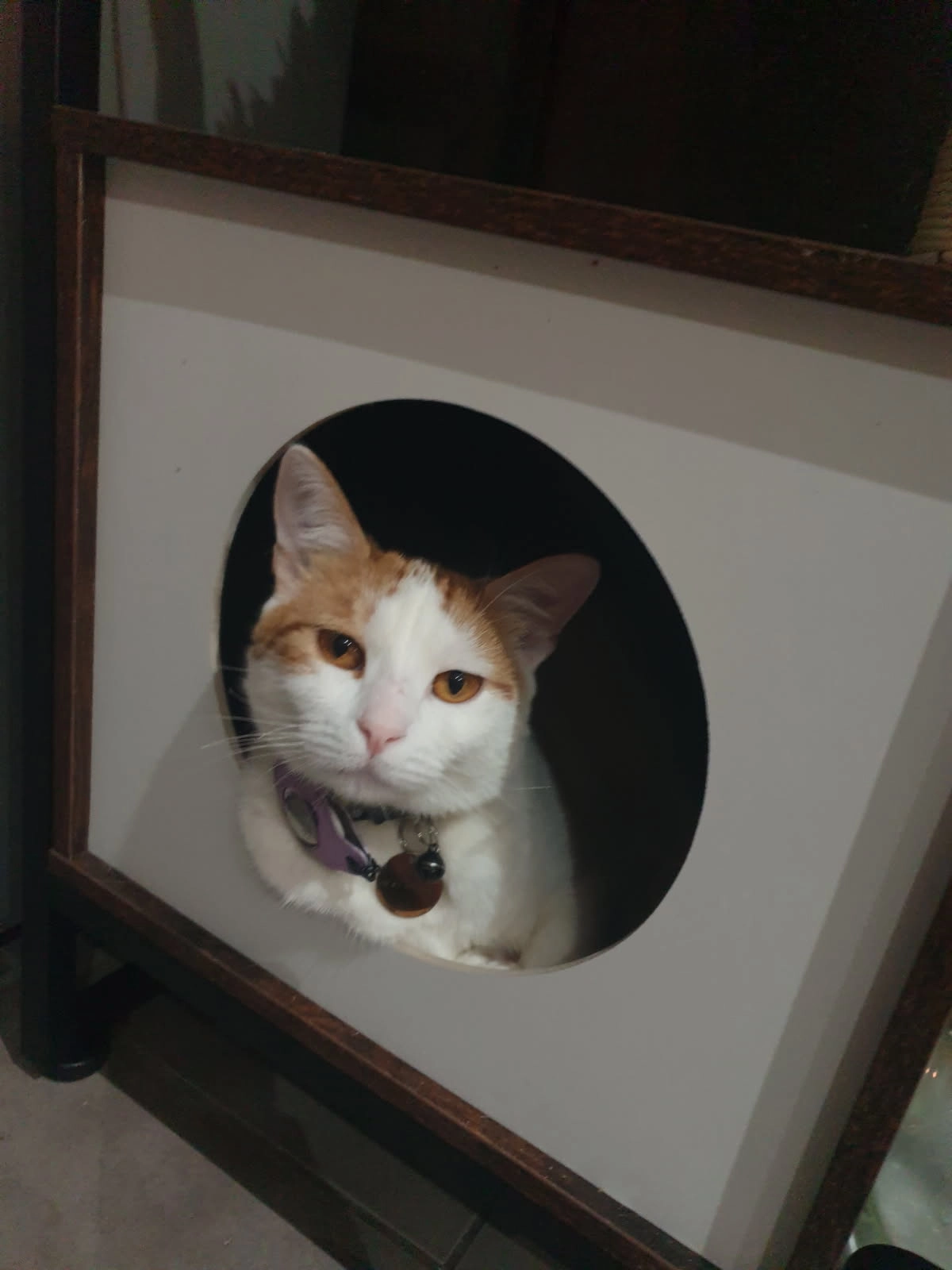 Ulysse - 33 Route de Lyon, Chavanoz