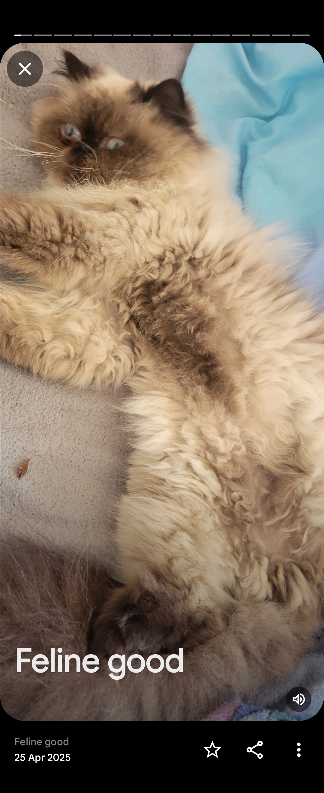 Cloudio - EH42 1, Thorntonloch