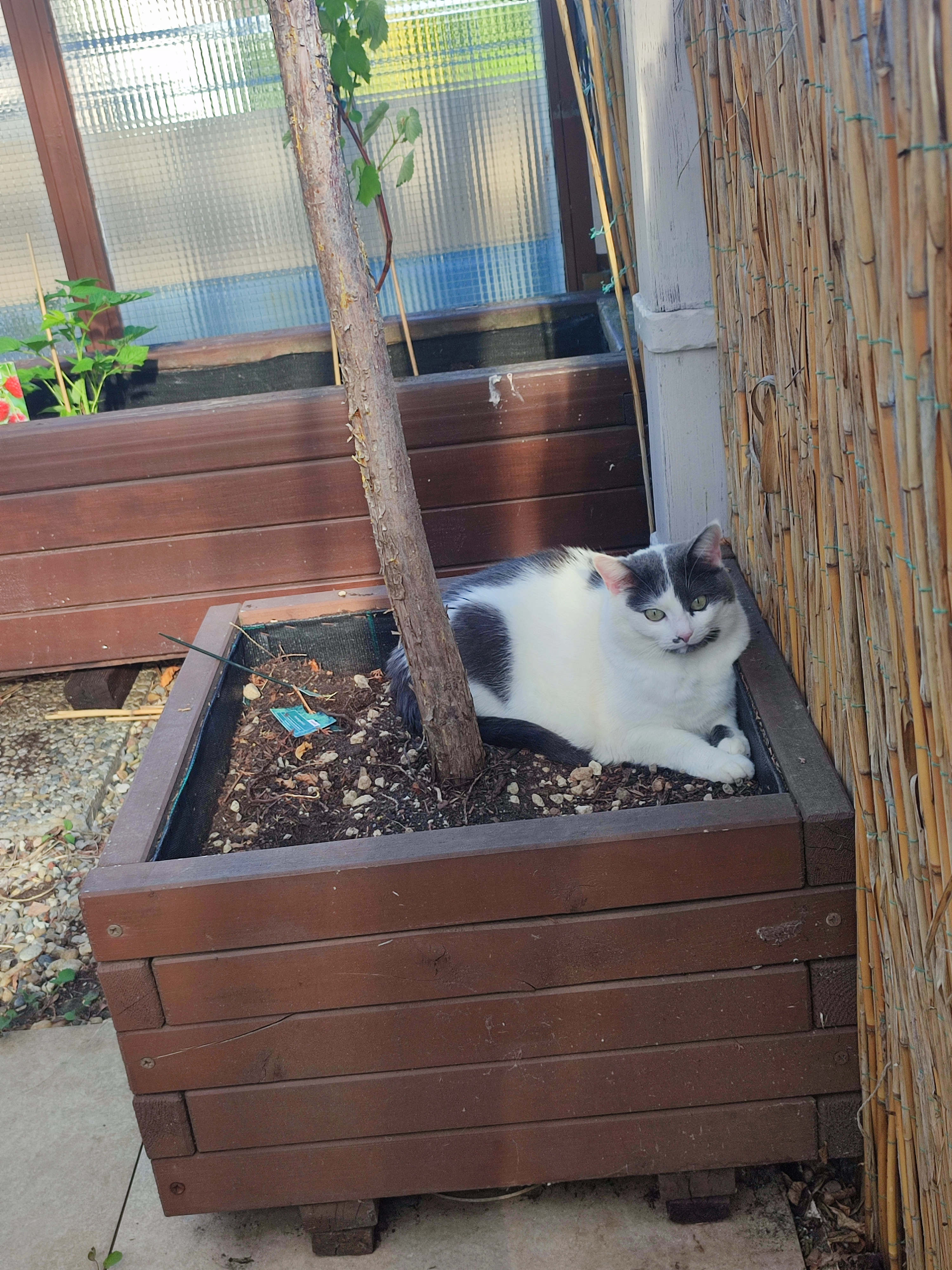 Masja - Kiefernweg 1, Backnang