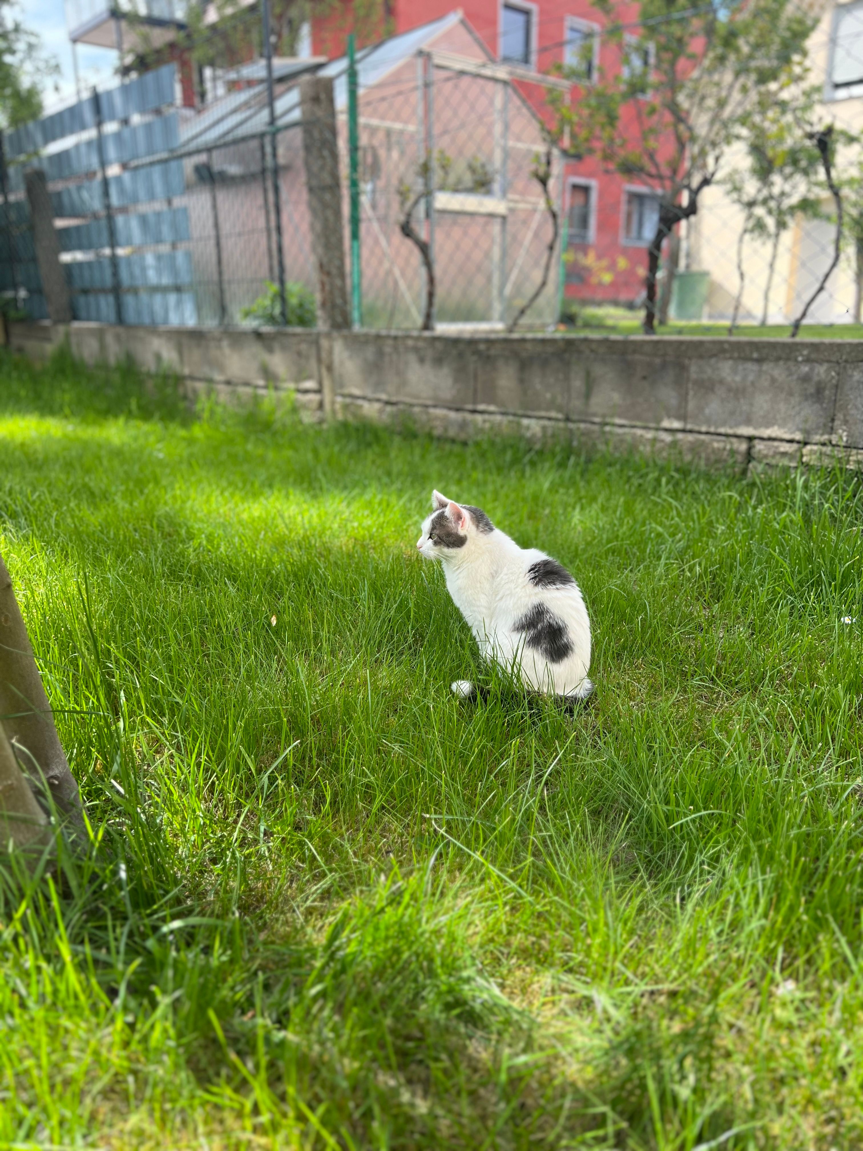 Pamuk - Arzbergweg, Hersbruck