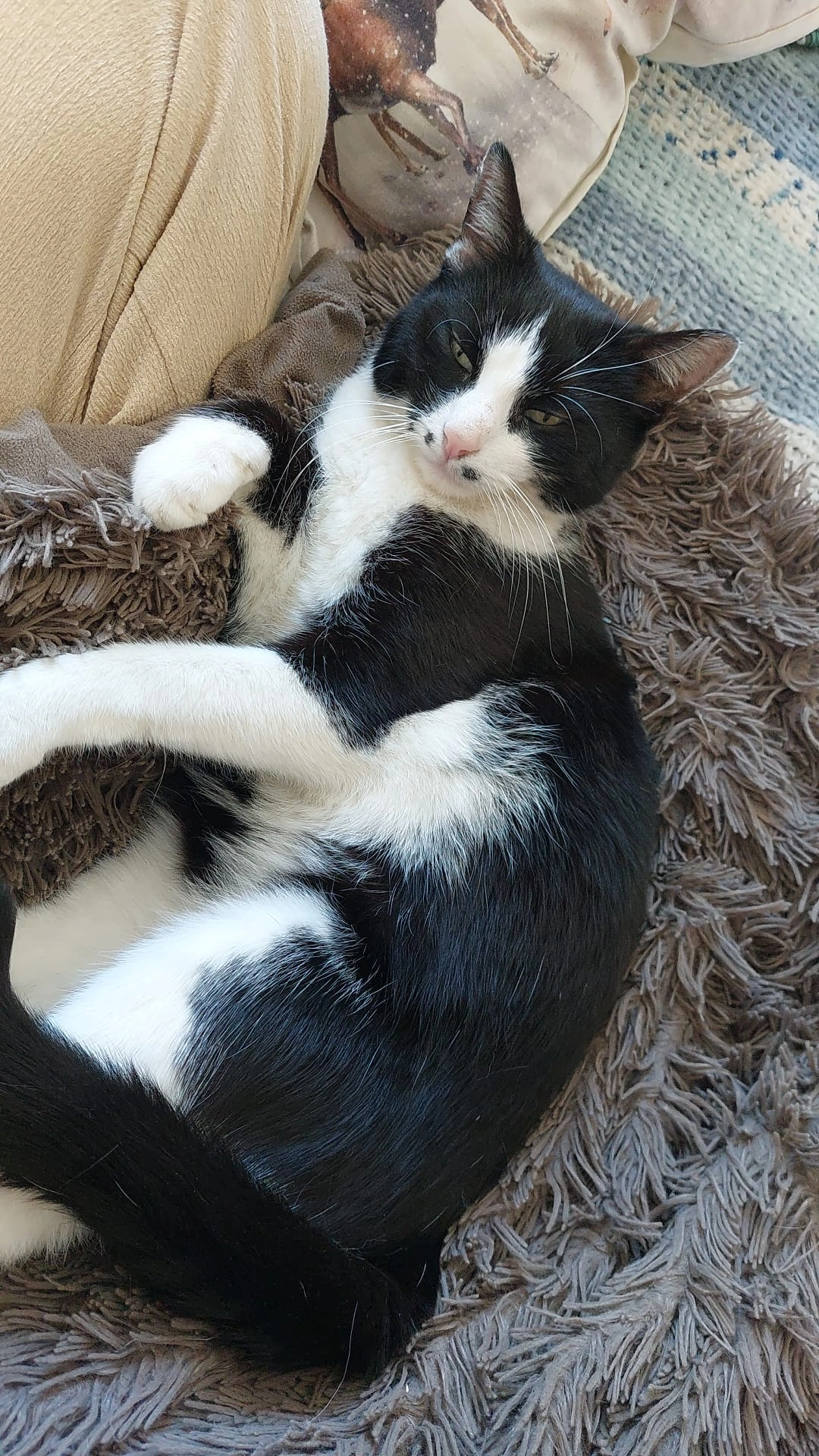 Oreo - Frauenegger Straße, Frauental an der Laßnitz