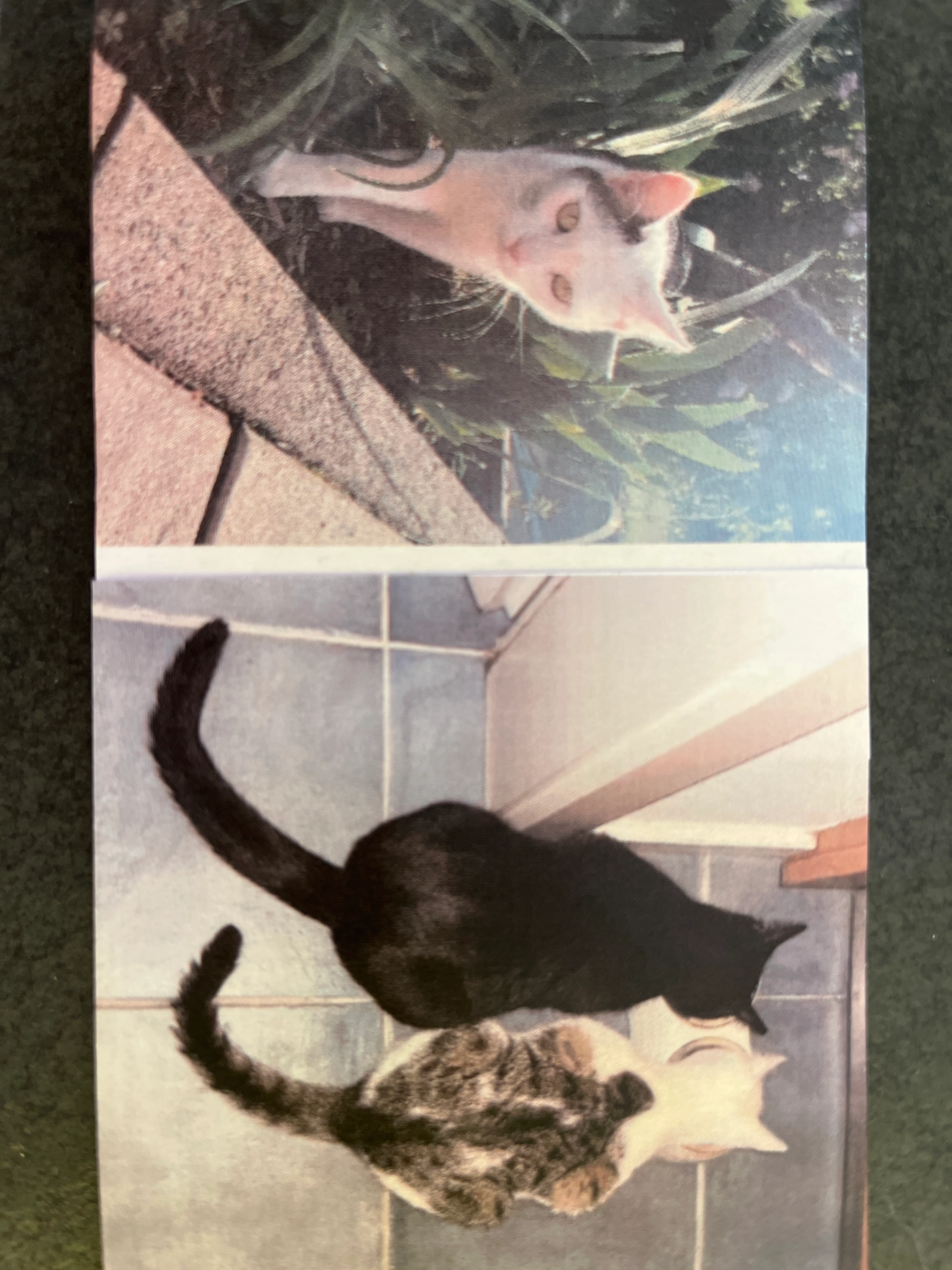 Tilla - Am Mühlberg, Ober-Ramstadt