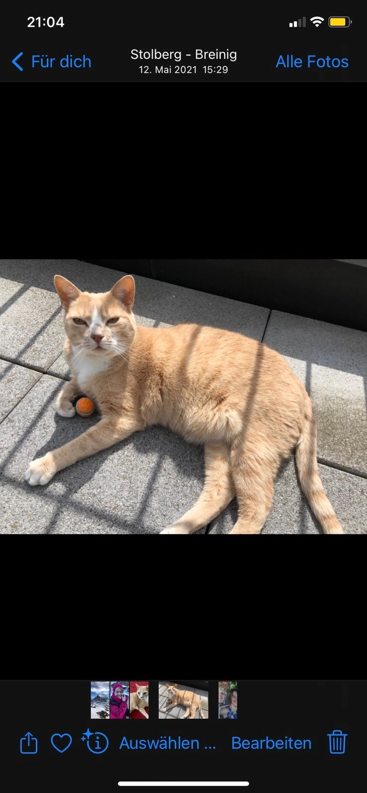 Pepino - Weißdornweg, Stolberg