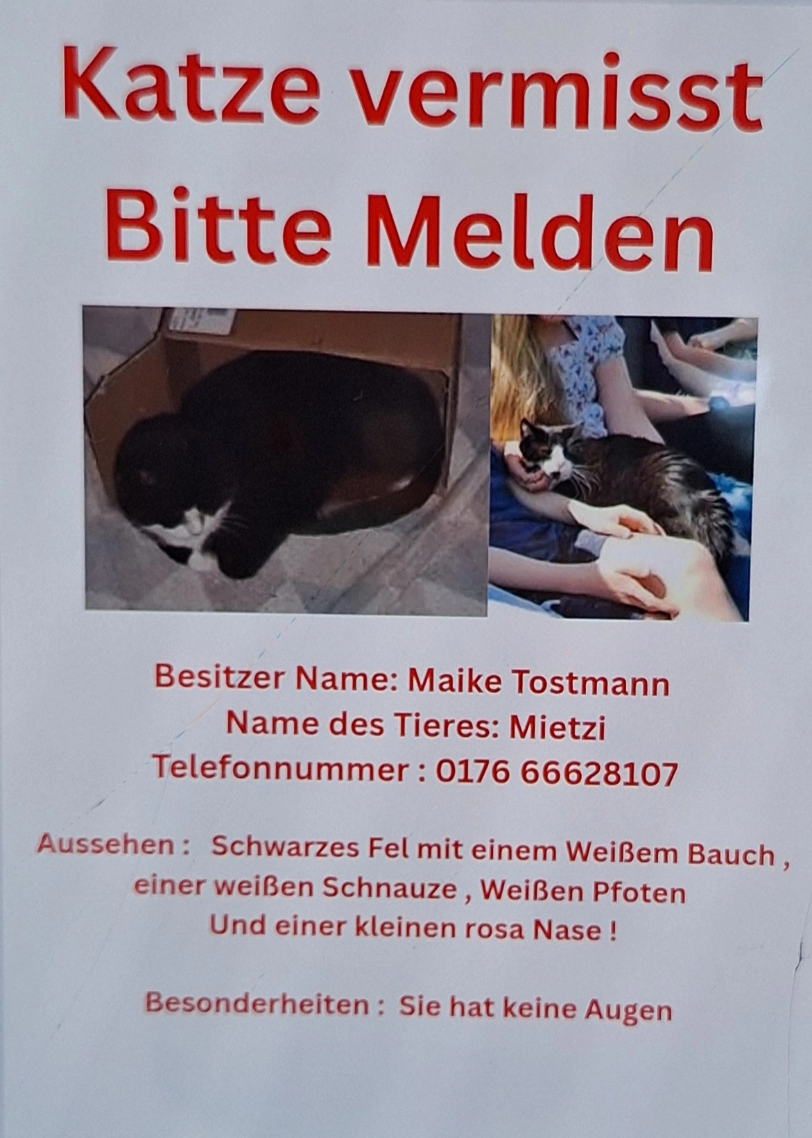 Mietzi  - Von-Ketteler-Straße, Hildesheim