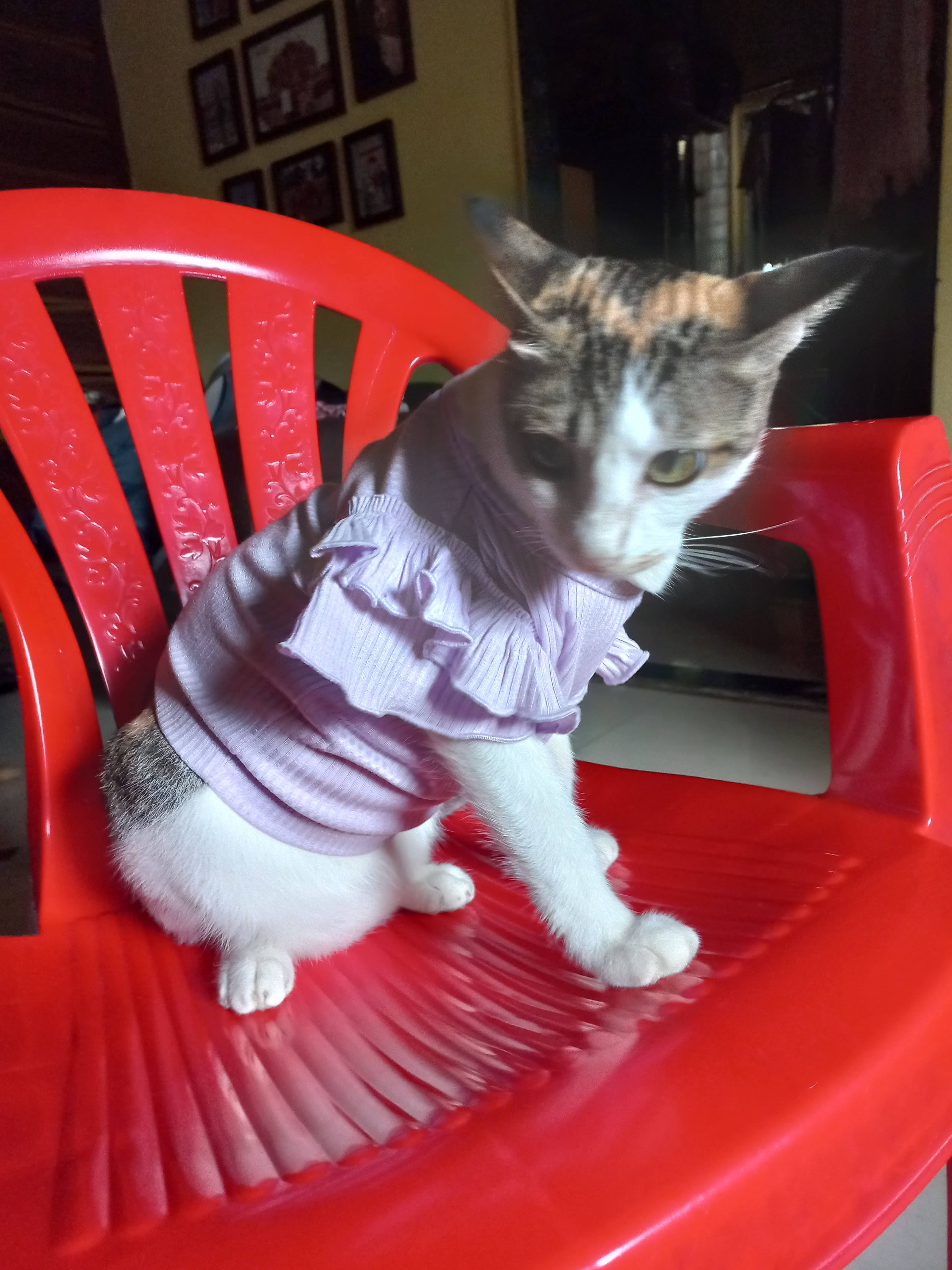 Gayu - Ghansoli, Navi Mumbai