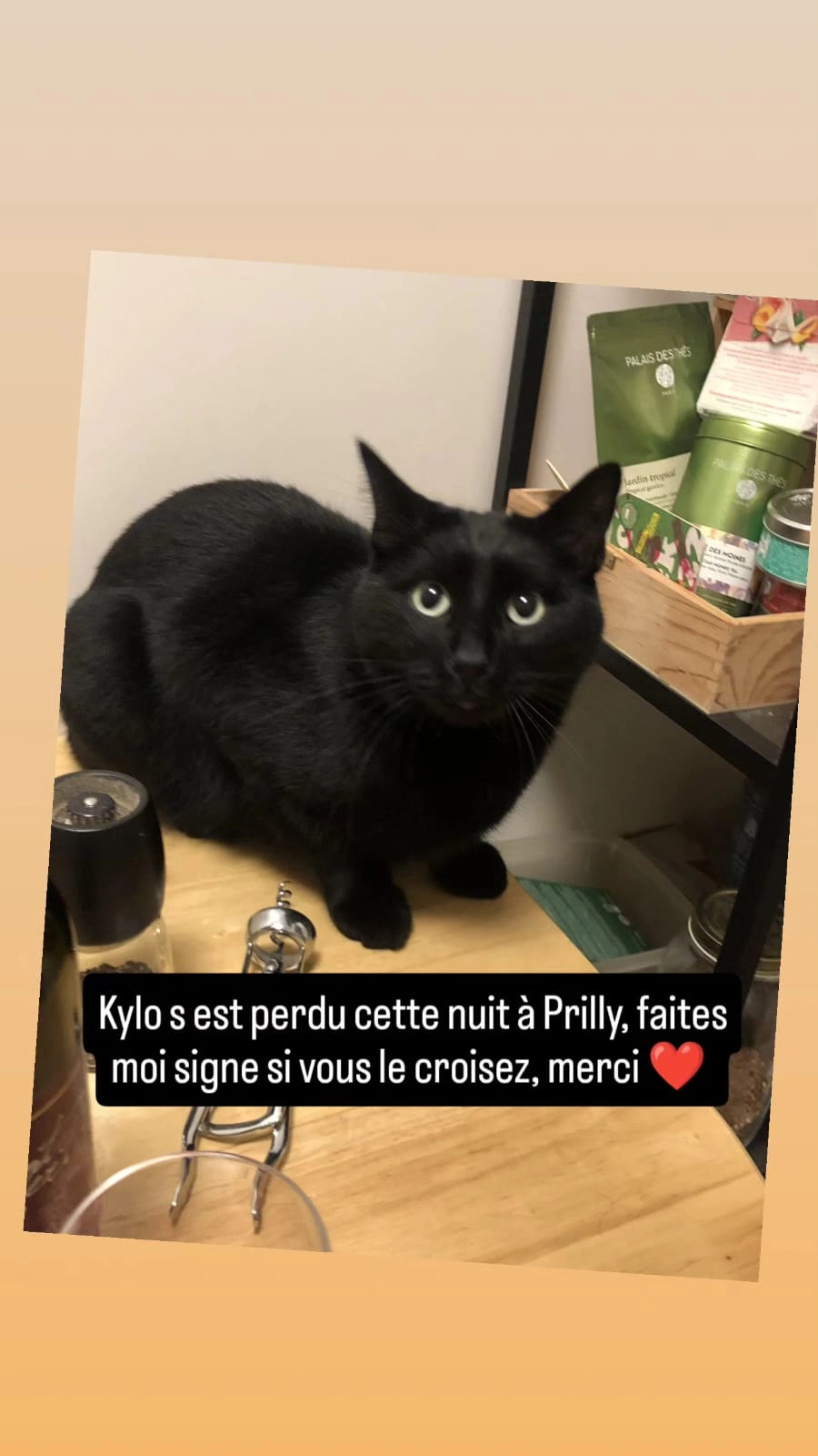 Kylo - Chemin de l'Union 7, Prilly