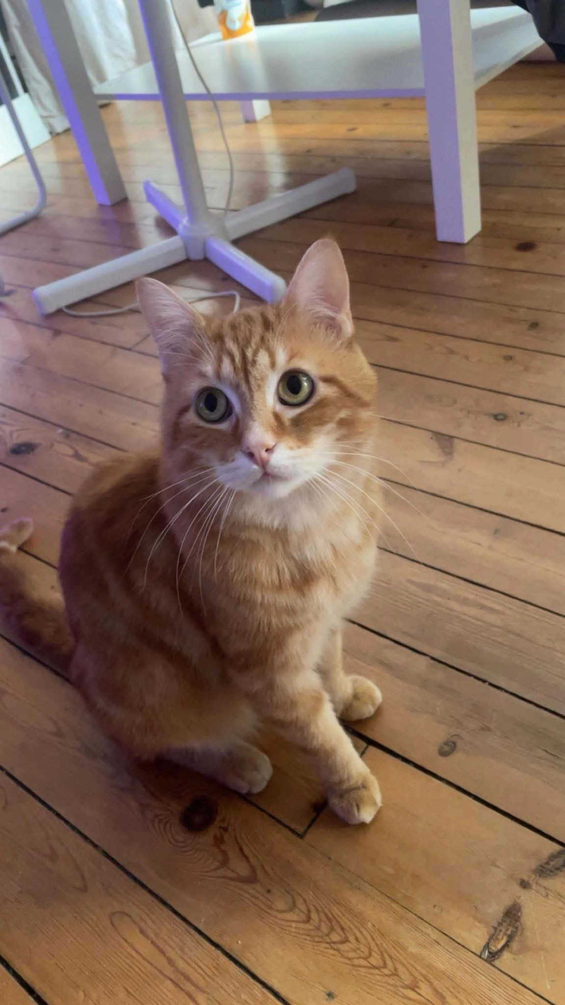 Sky - 18 Rue Wager, Saint-Quentin