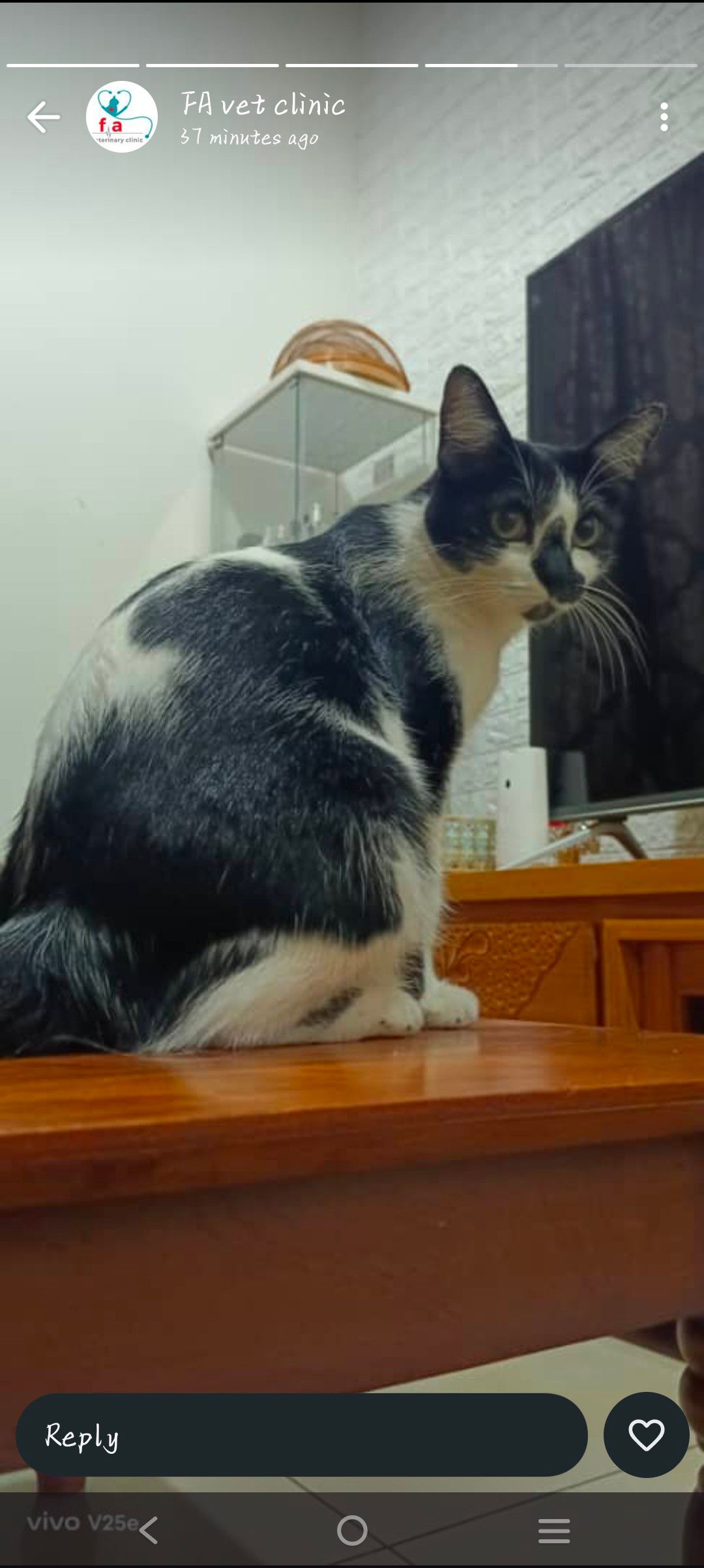 black - 75460, Malacca