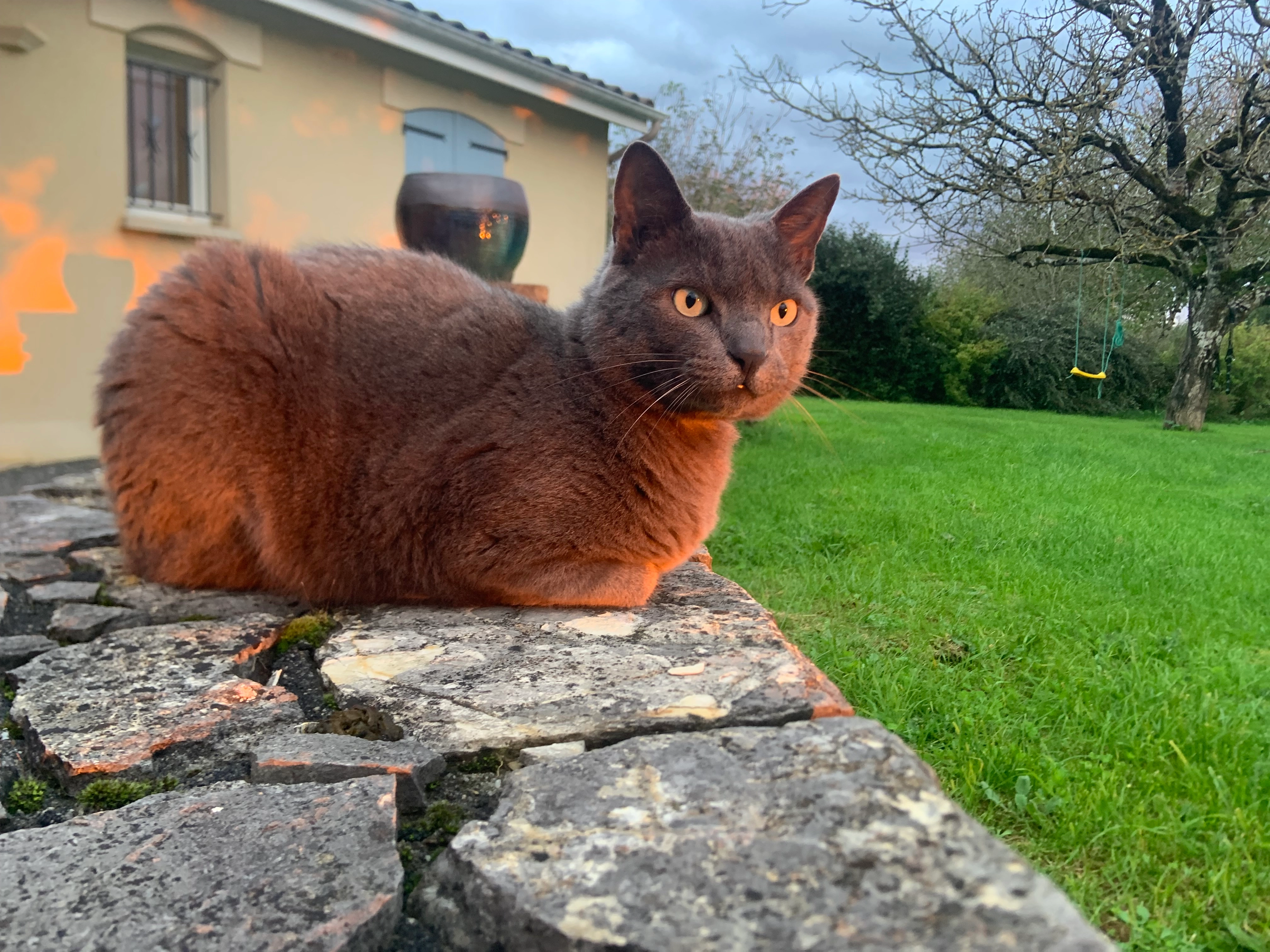 Oslo - Rue François Villon, Thenon