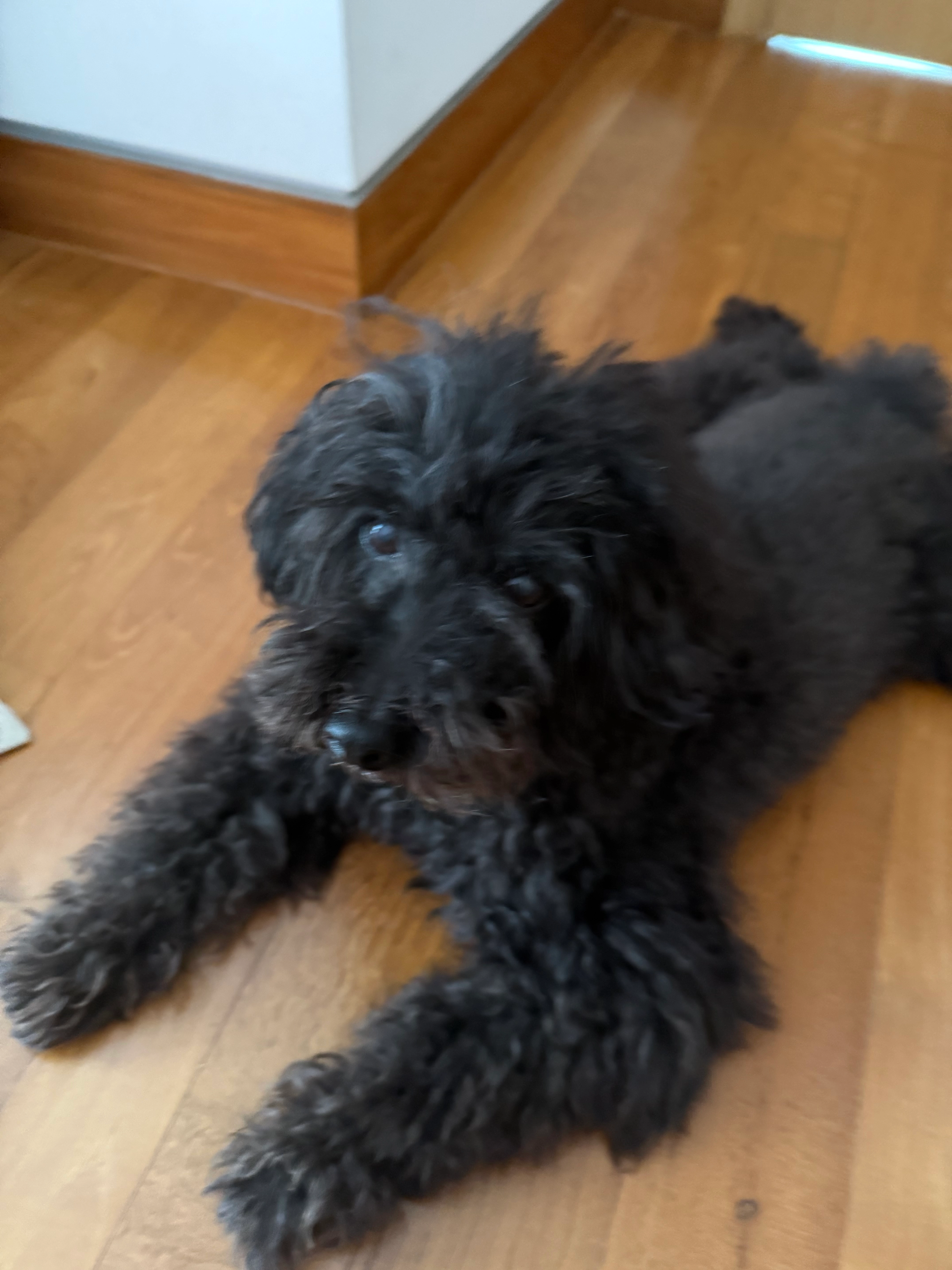 Ruby - Telok Kurau Road, Singapore