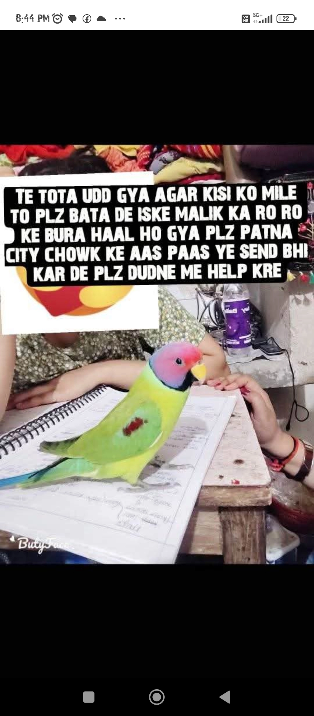 Mittu - Ghgha gali chowk patna City , Patna