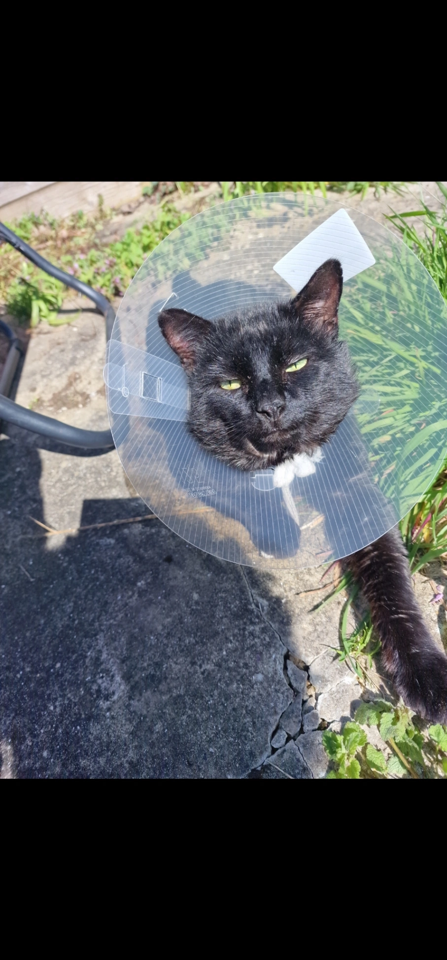 Scratchy - UB1 3, Southall