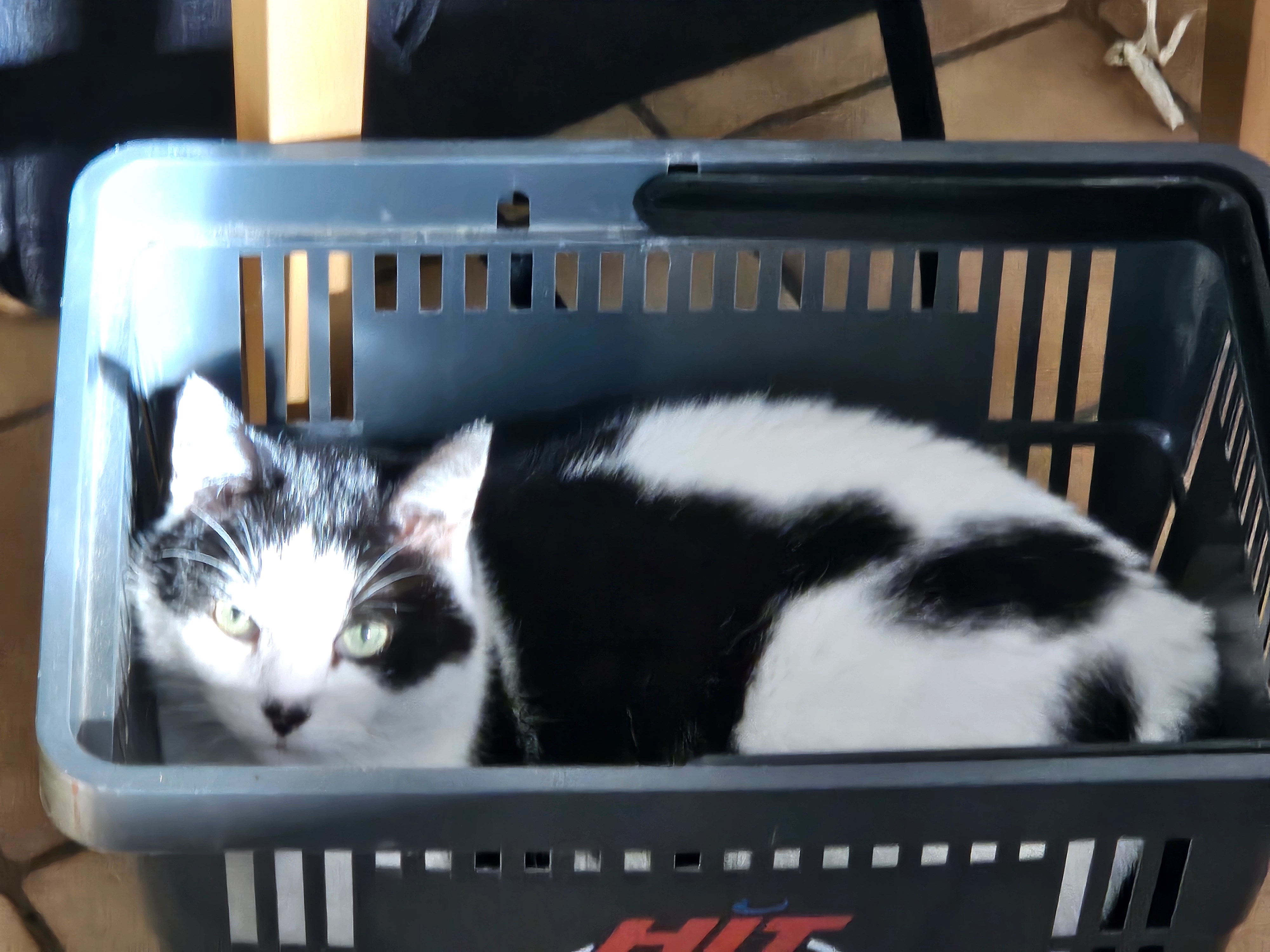 Finny - Mayener Straße, Welling