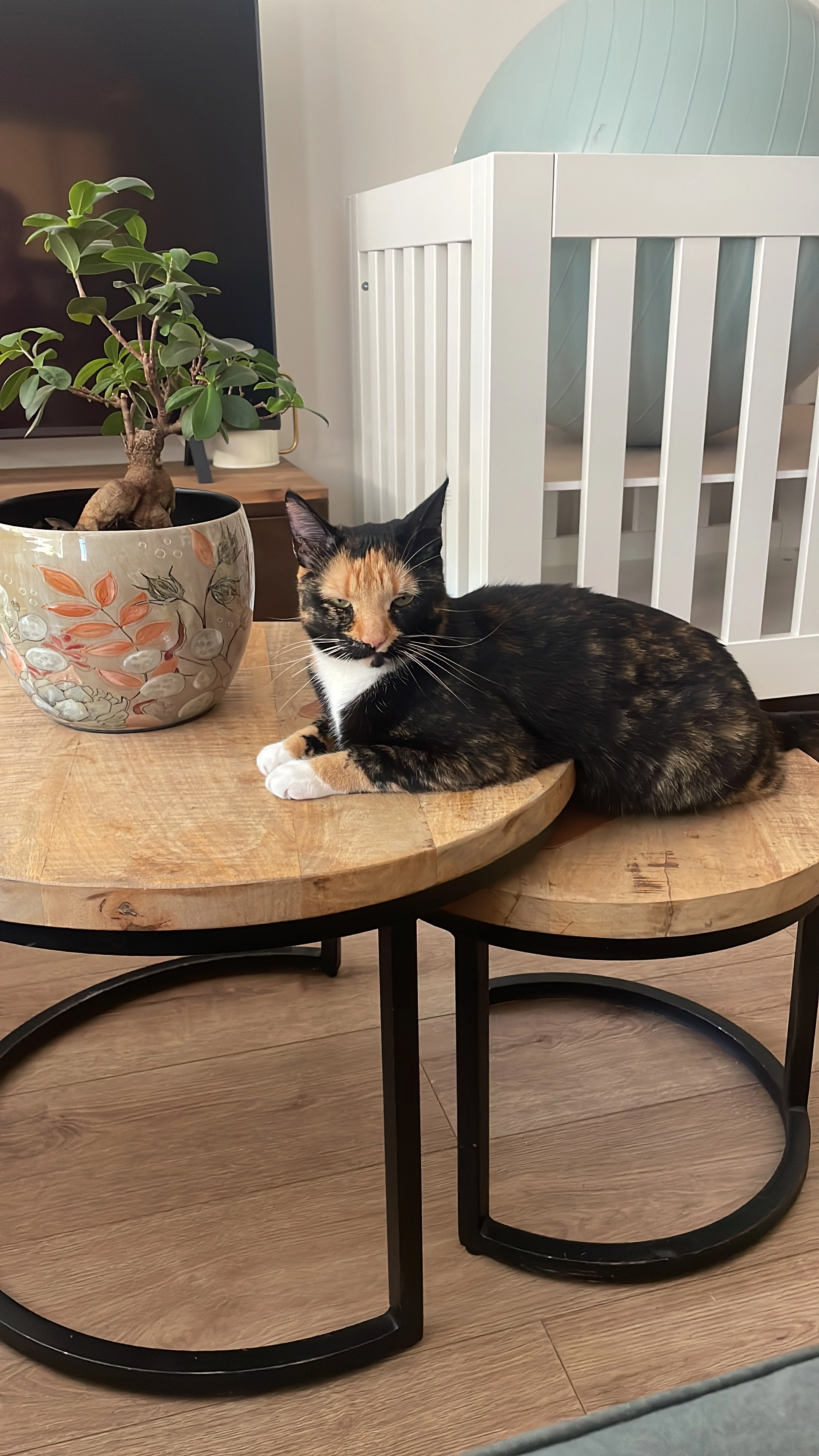 Mip - Waterbeemd, Oosterhout