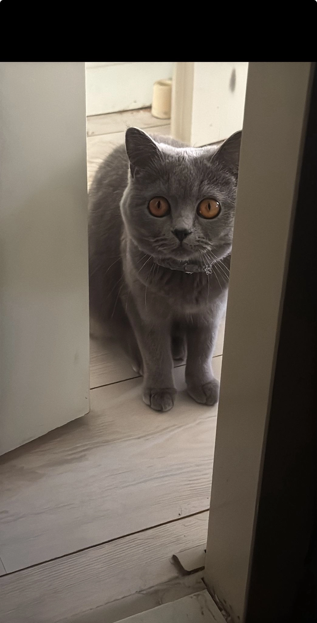 Nala - Gedeputeerdenlaan, Zwolle