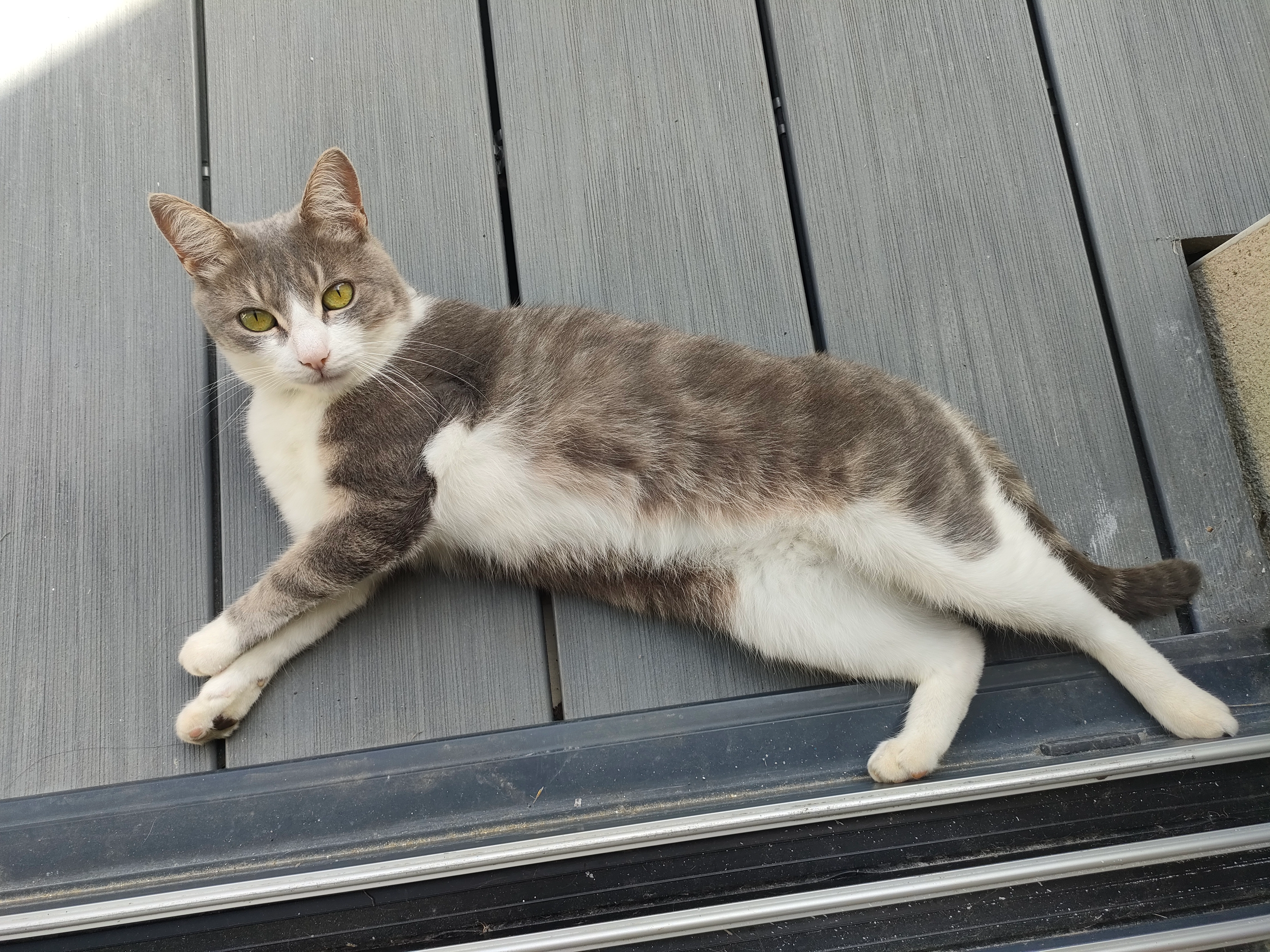 Ola - 4 Impasse La Pérouse, Saint-Nazaire