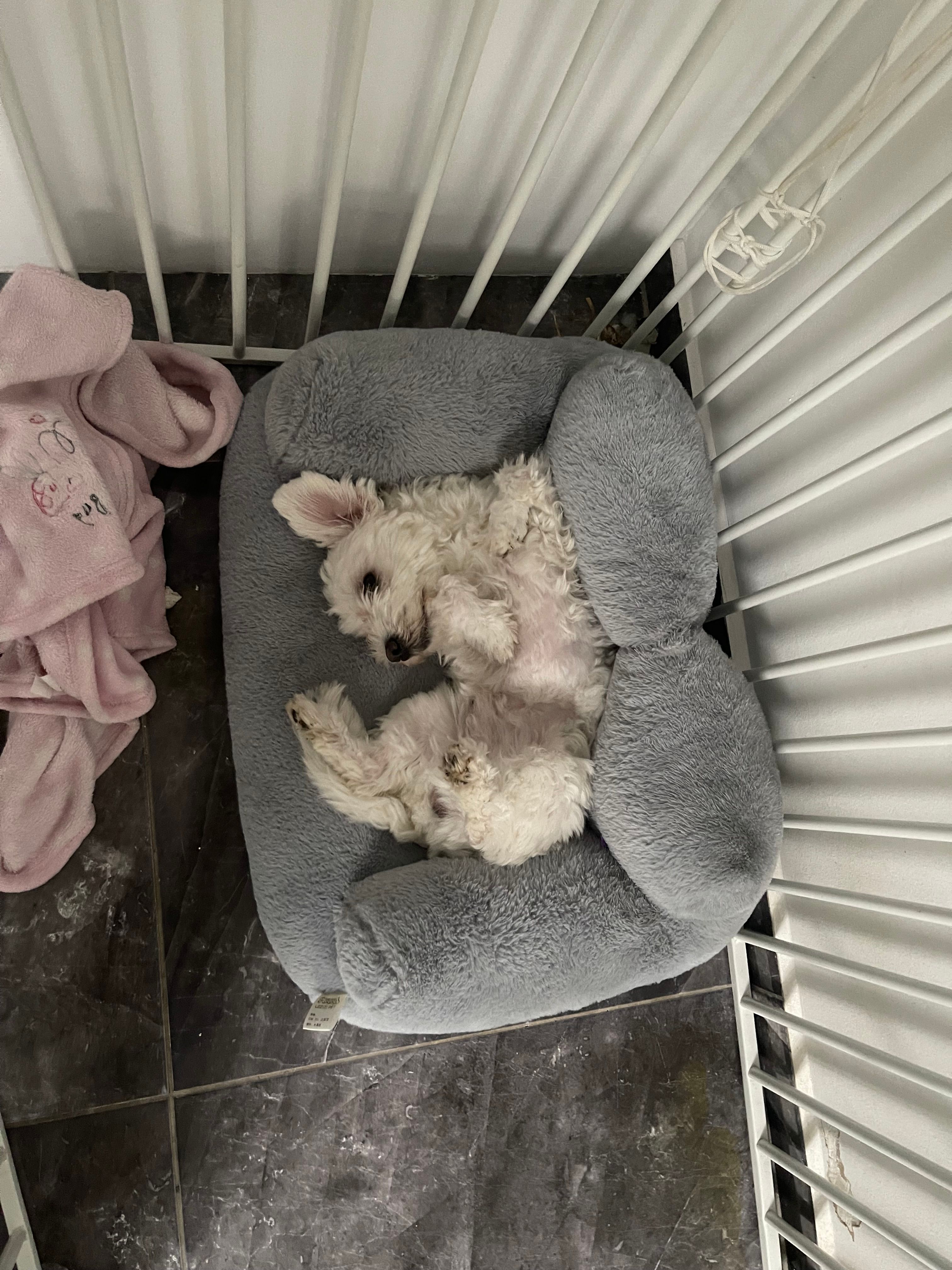 Bon Bon - Pescher Straße, Mönchengladbach