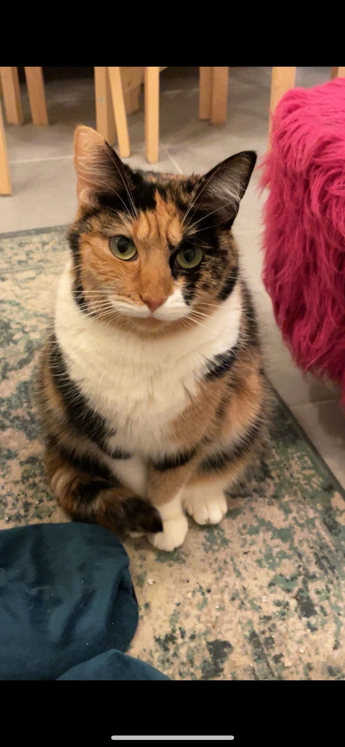 Calypso - 30 Rue Eau de Robec, Rouen