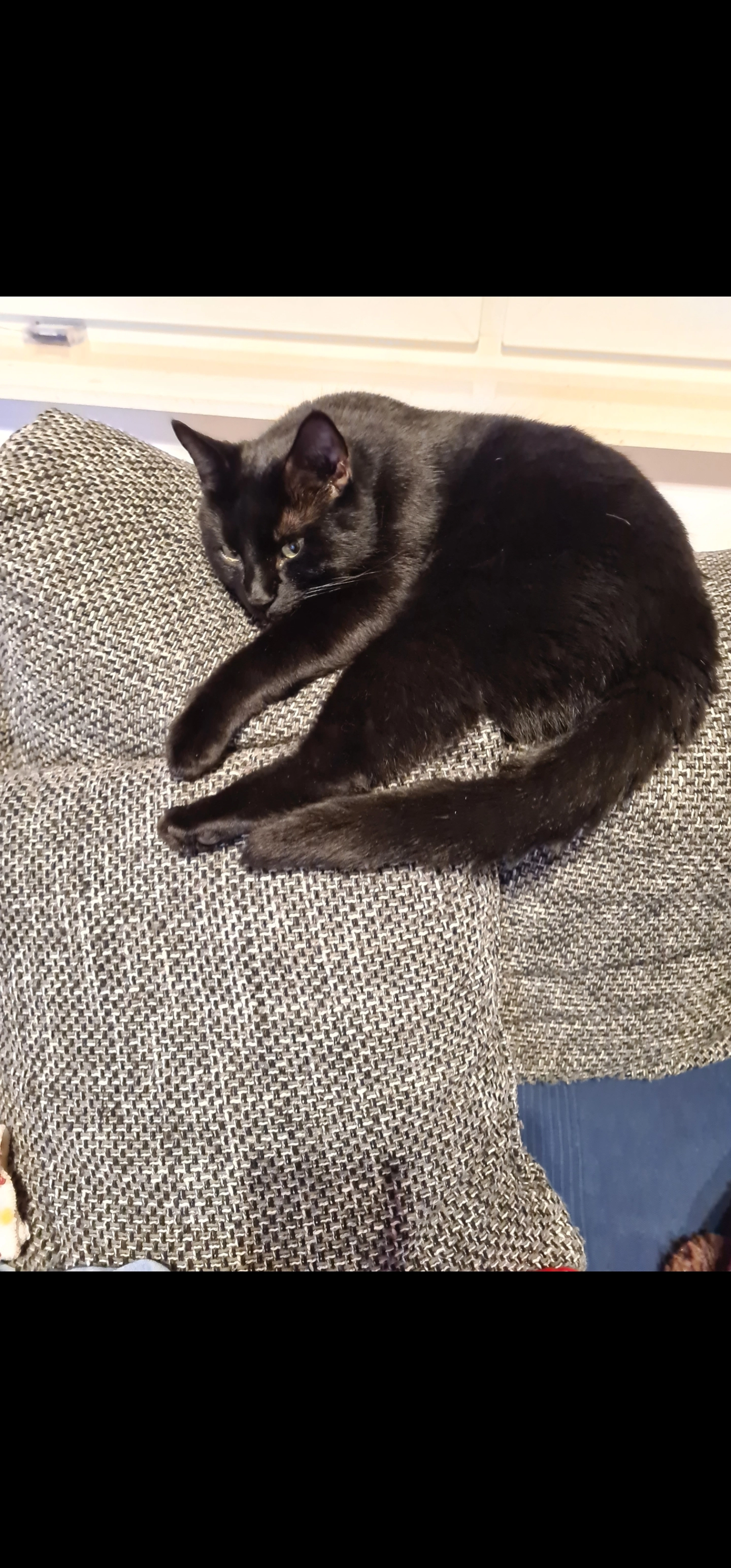 Black - Cäcilienweg, Dinslaken