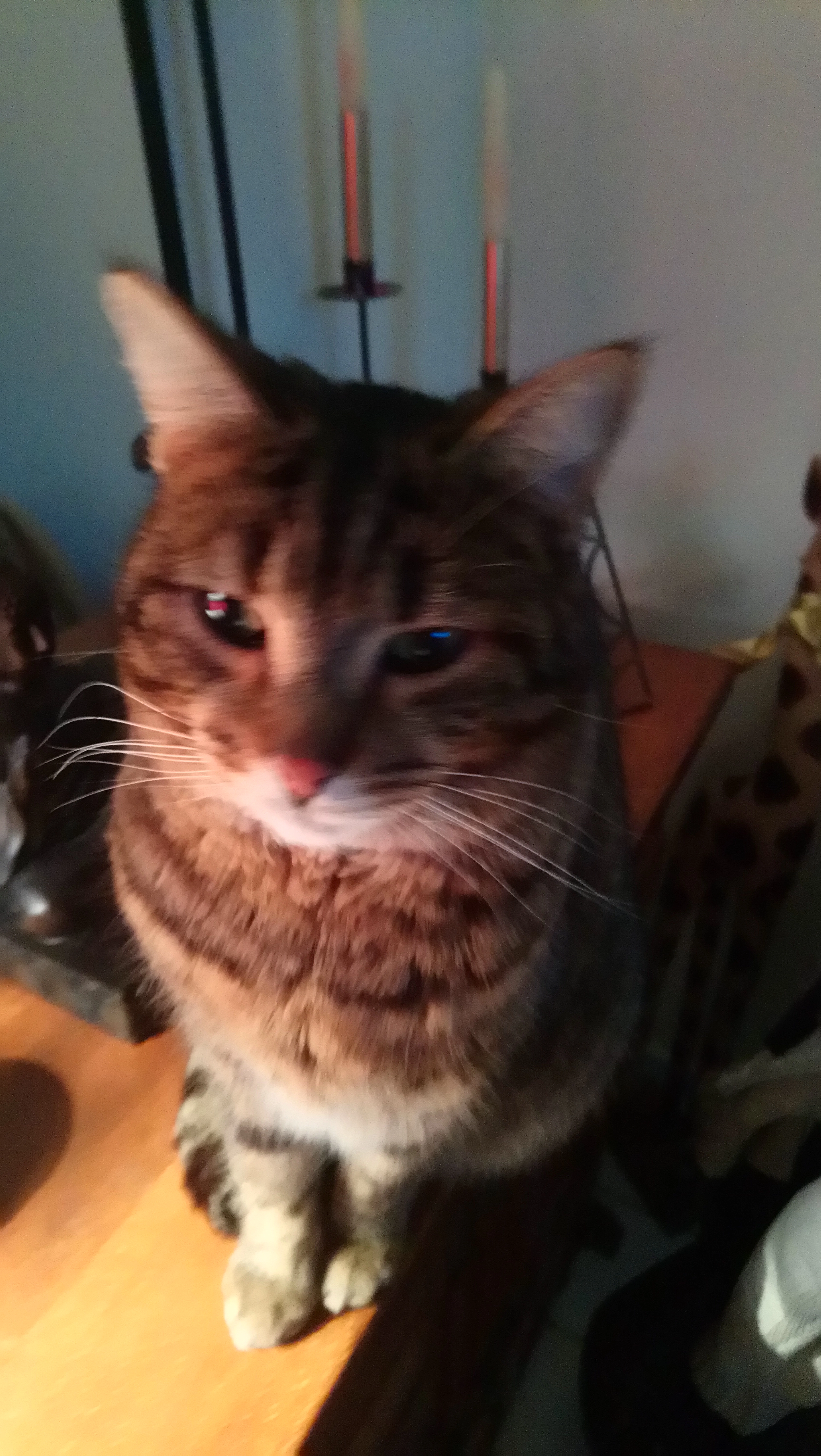 Léo - Rue Saint-Laurent, Nogent-le-Rotrou