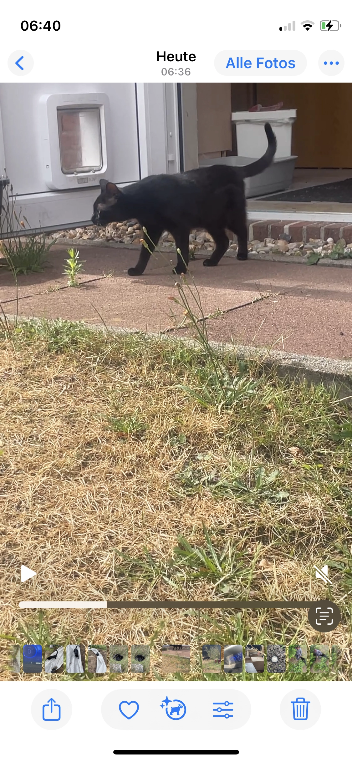 Baggira - Oselohfeld, Wietze