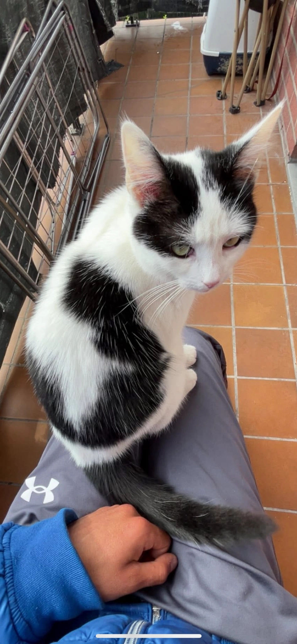 Mimi - Boeierstraat 3, Antwerpen