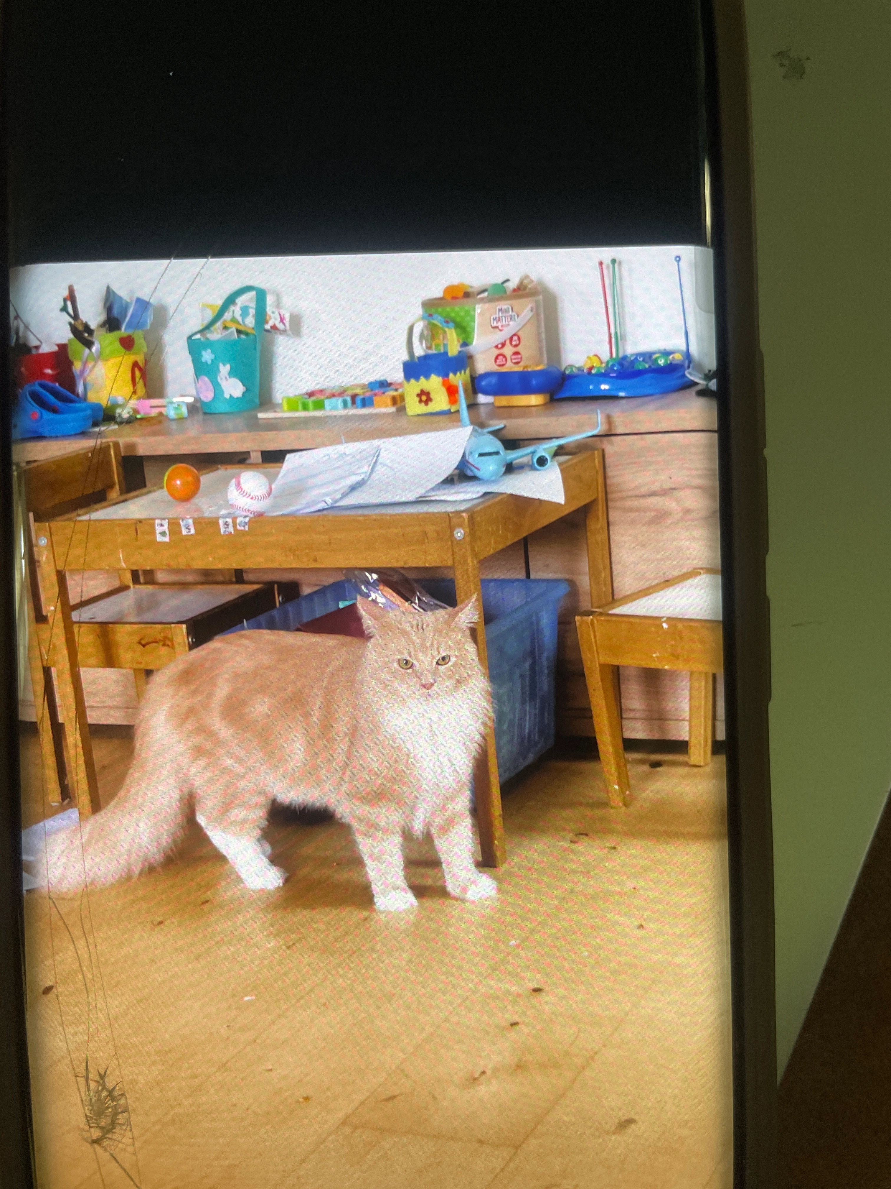 Fabi - Reisenbauerring, Wiener Neudorf