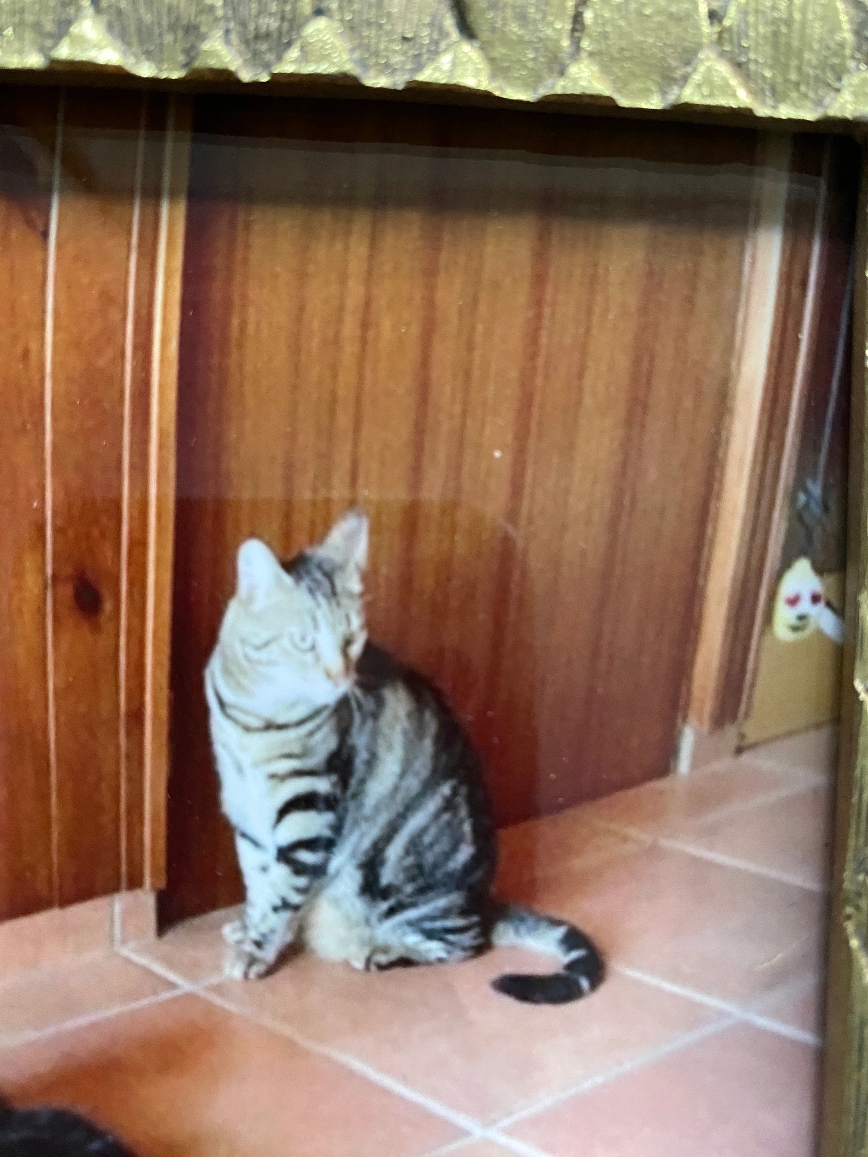 Chourca - 30 Rue du Priou, Seyssins