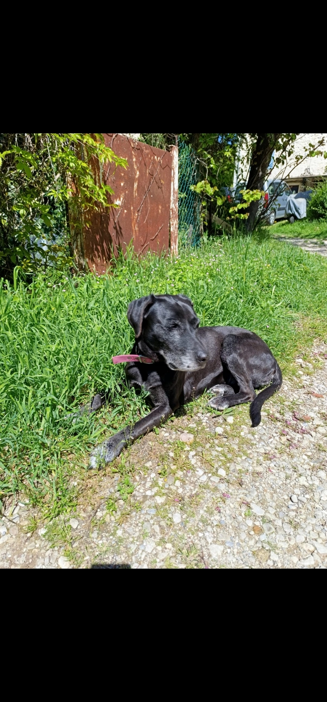 Haina - Route de la Paoute, Grasse