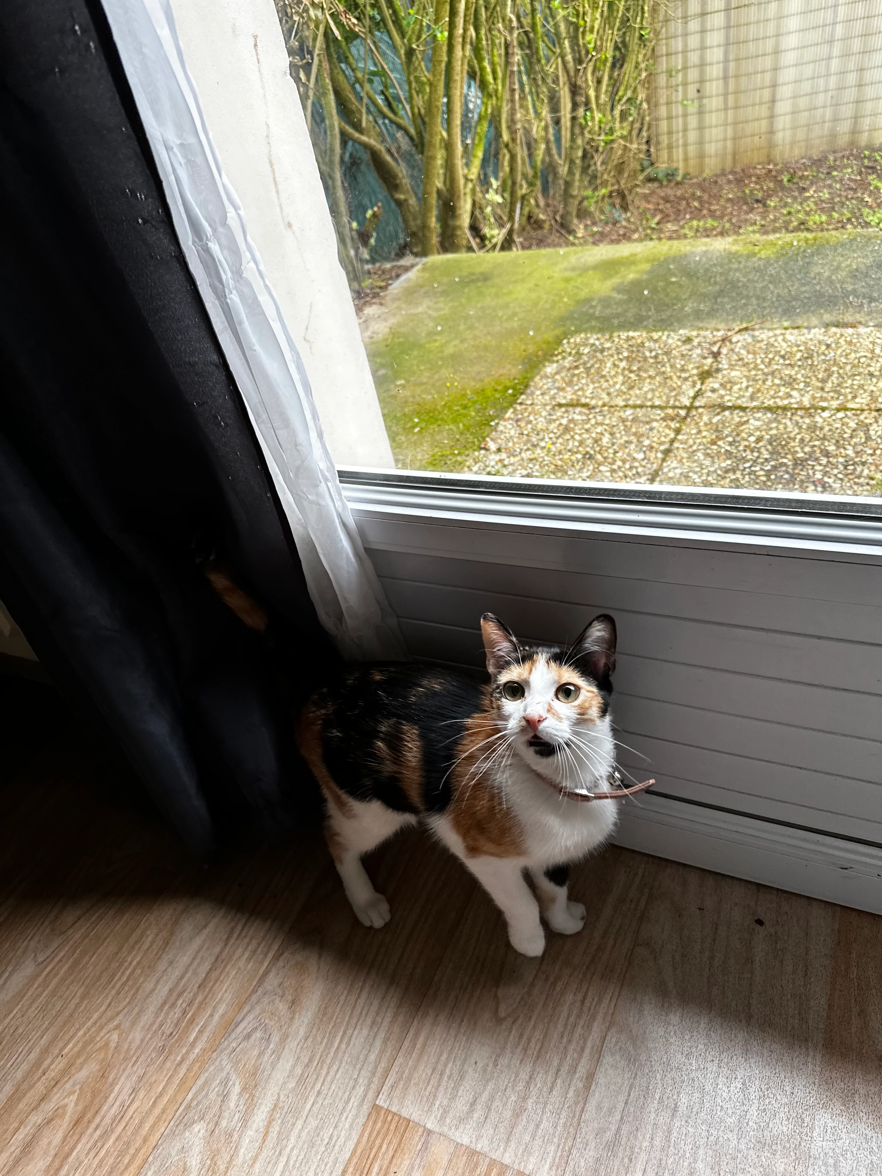 Nami - Rue de Coings, Déols