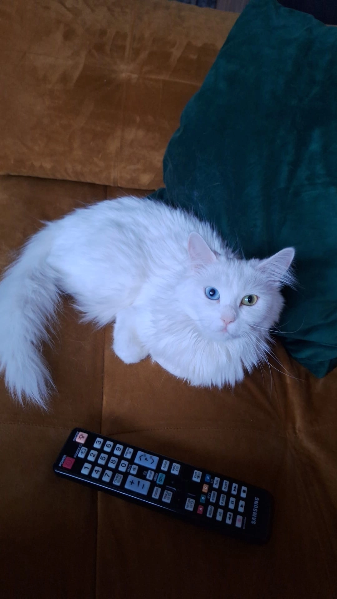 Mia - Pommernweg, Dörverden