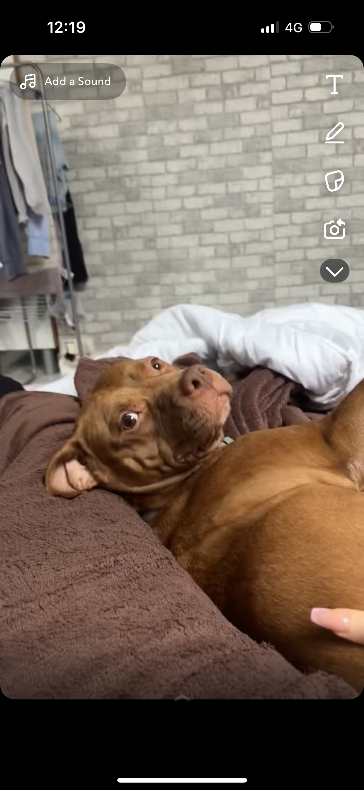 Kaya - Rue Clément Brevard, Dampmart