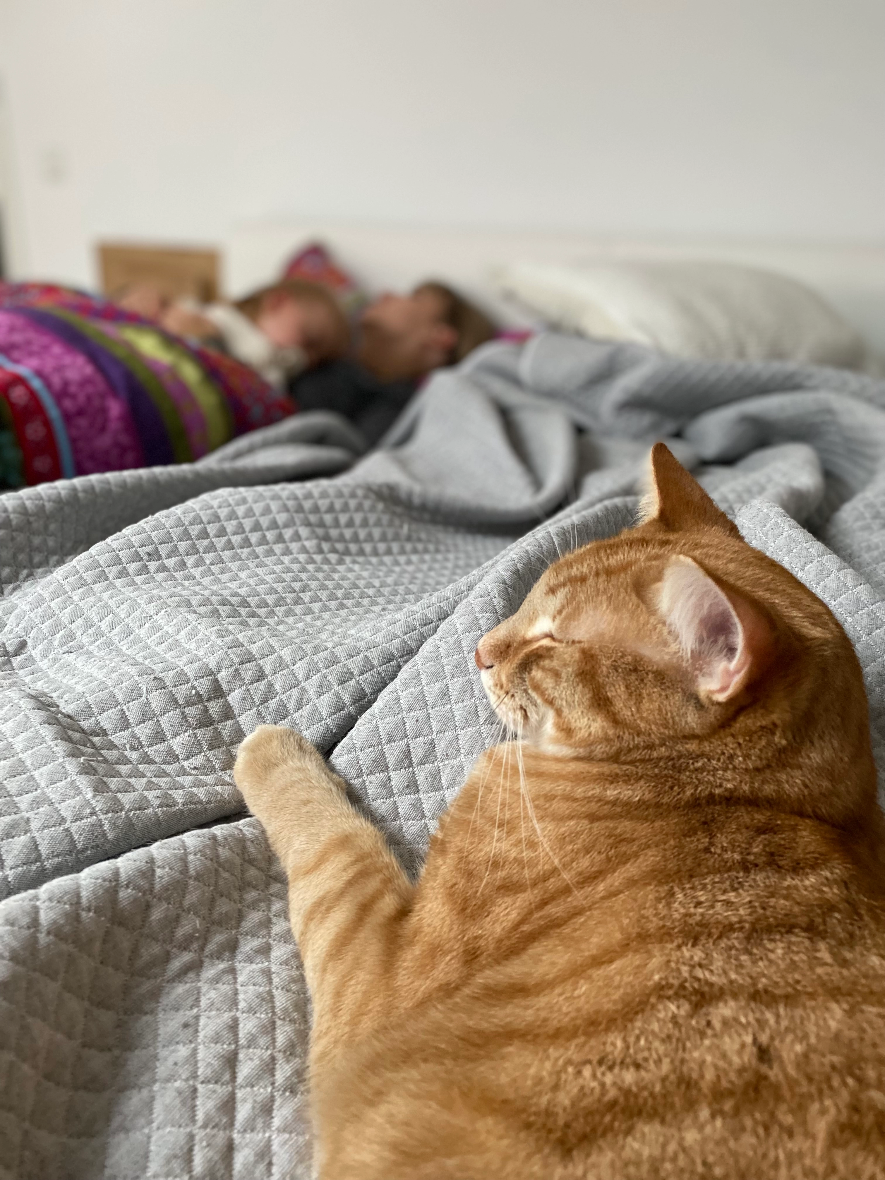 Simba - Waldschmidtstraße, Schliersee