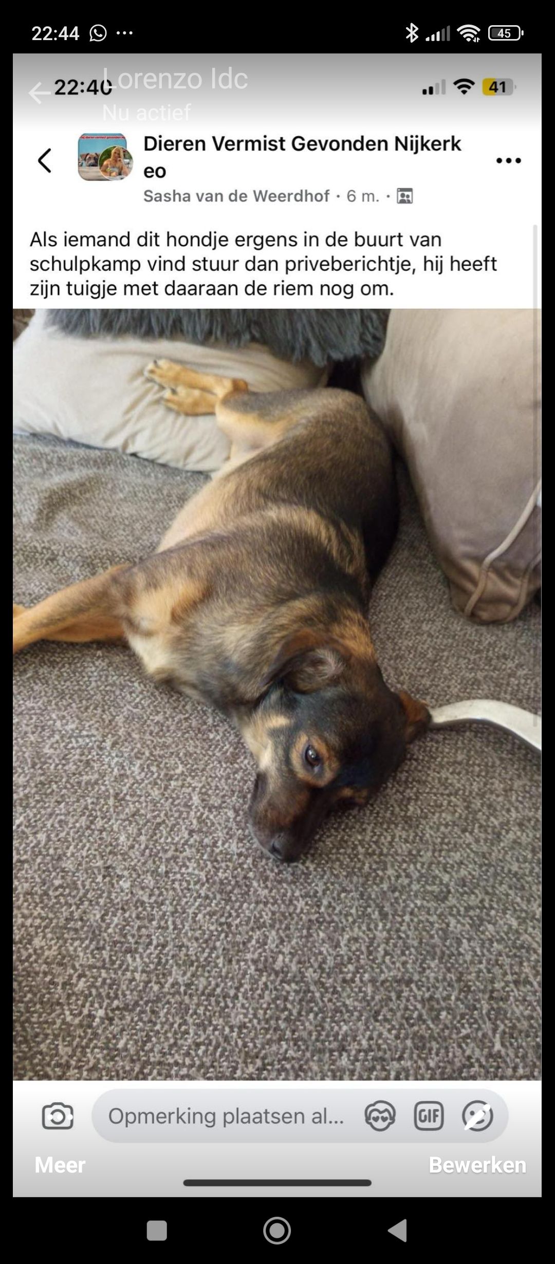 Andy - Heemskerkplantsoen, Nijkerk