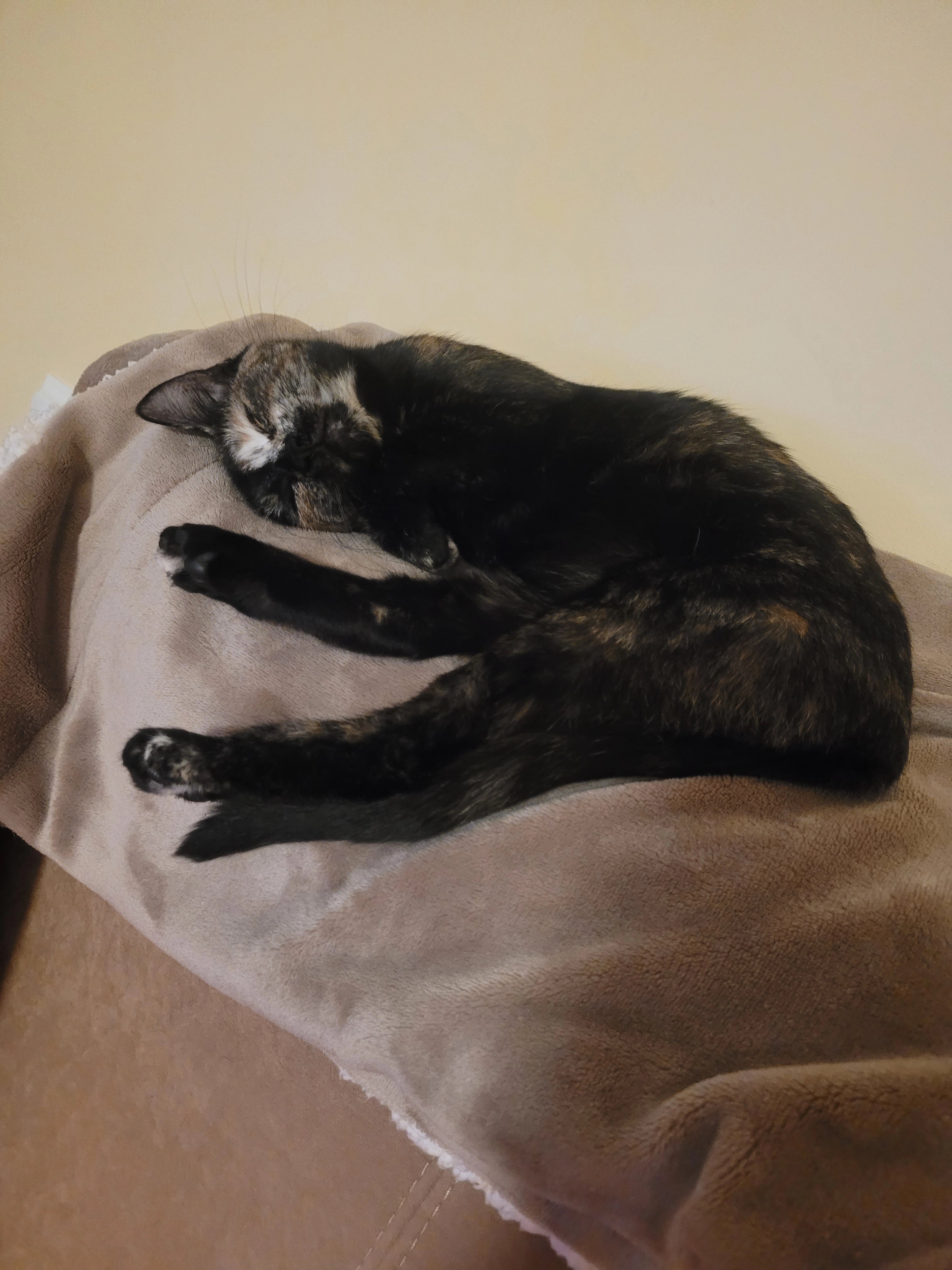 Betty - Dr. Johann Kirchberger-Straße, Ebreichsdorf