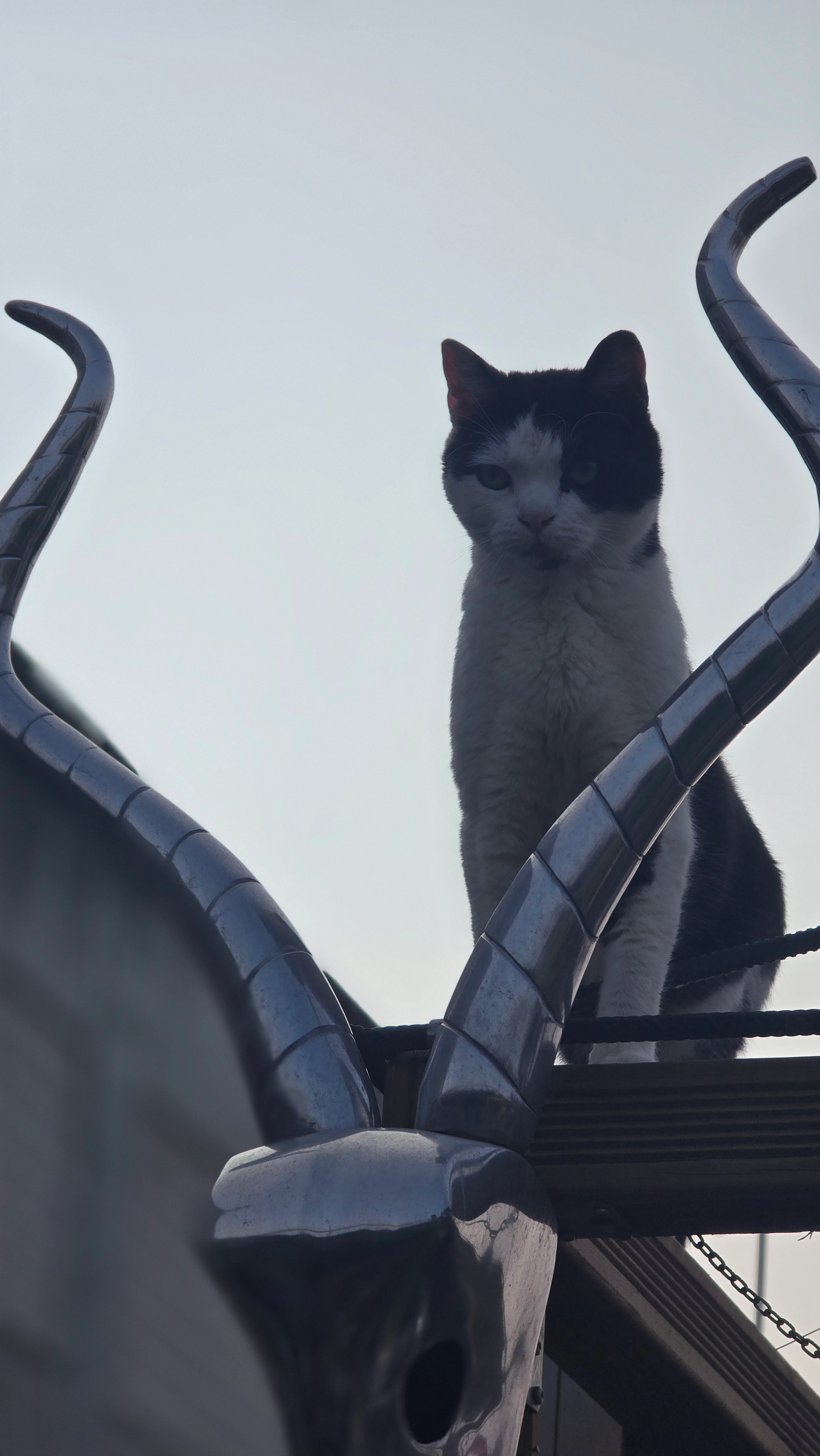 Felix - Hegenheimermattweg, Allschwil