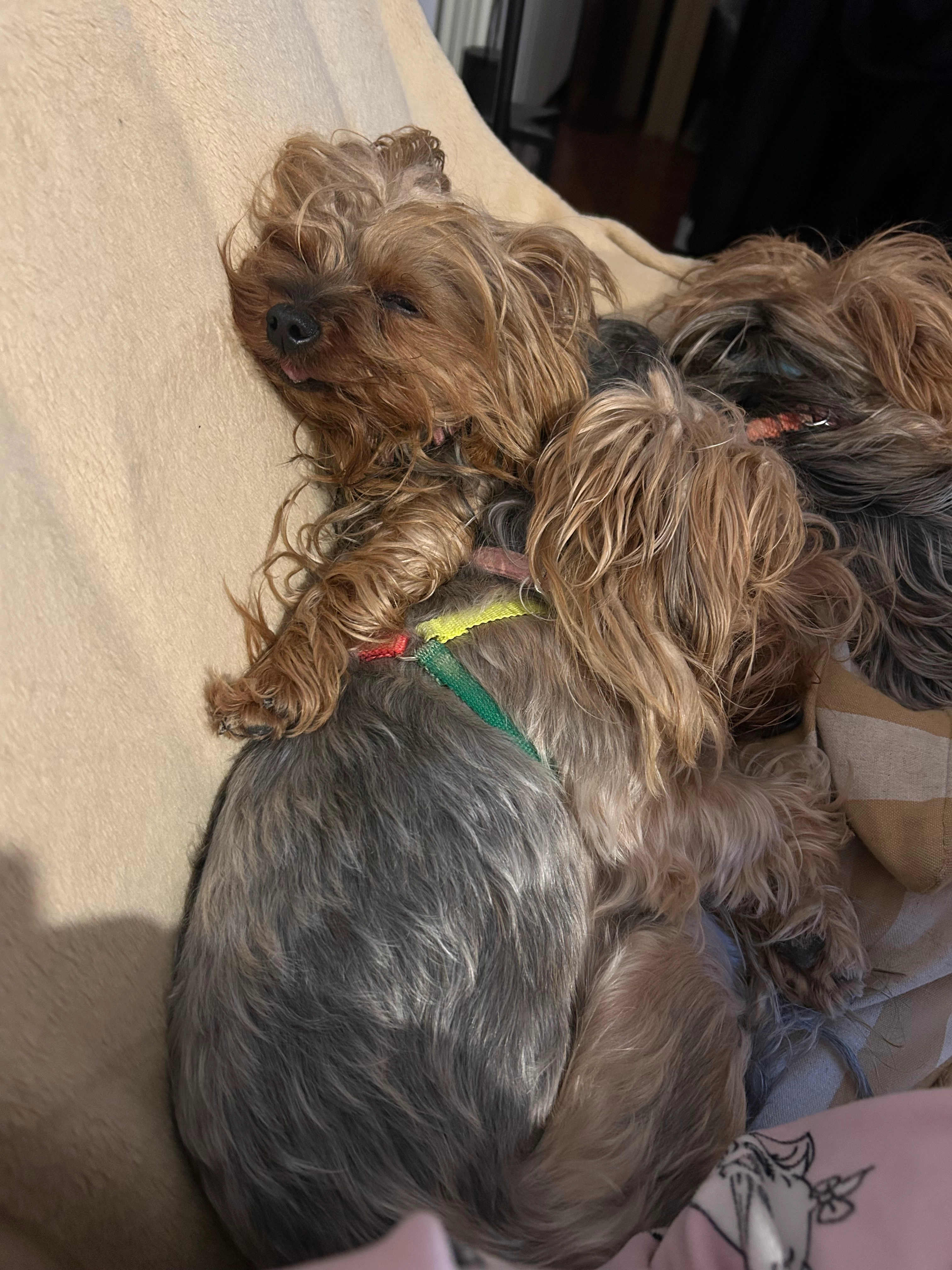 Minie - Calle de San Juan, El Viso de San Juan