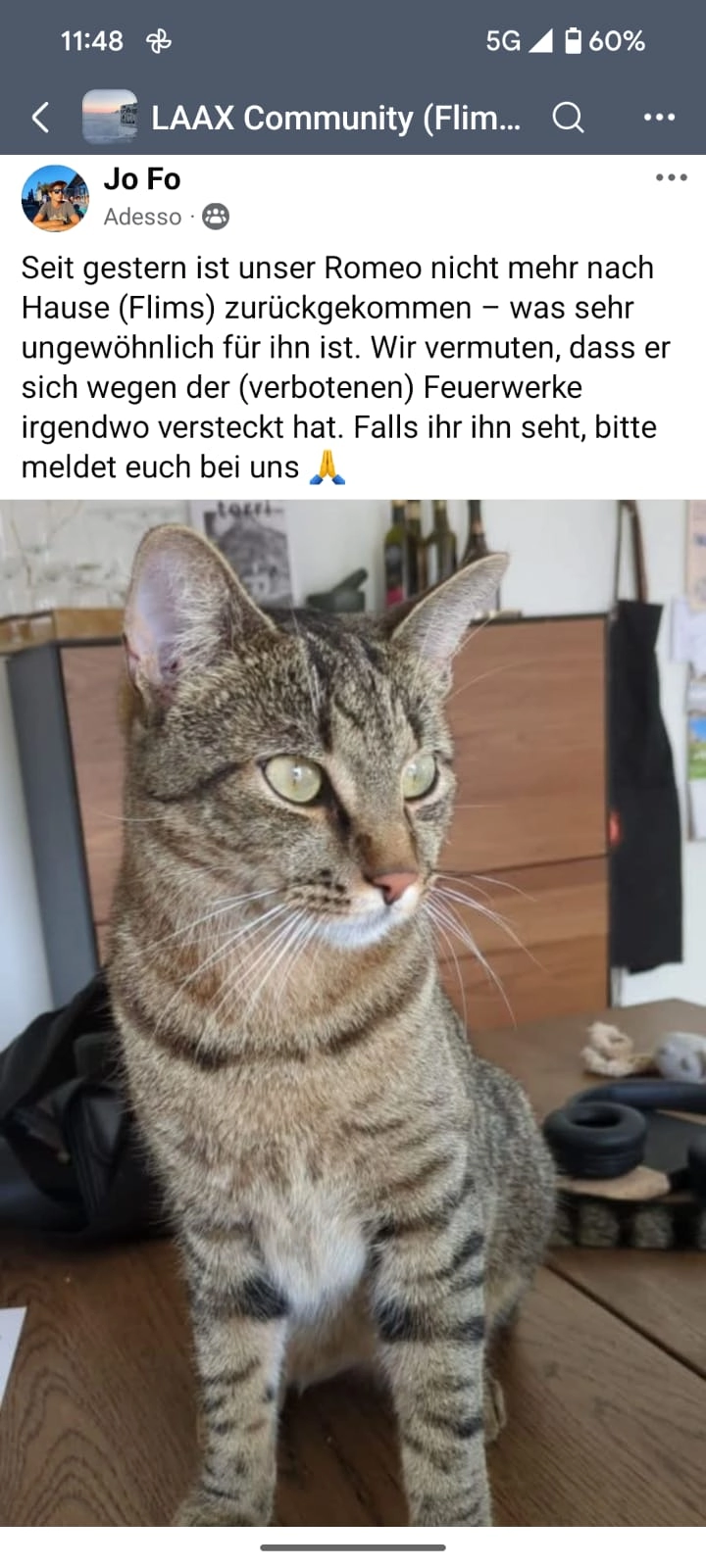 Romeo  - Vitg Pign 11, Flims