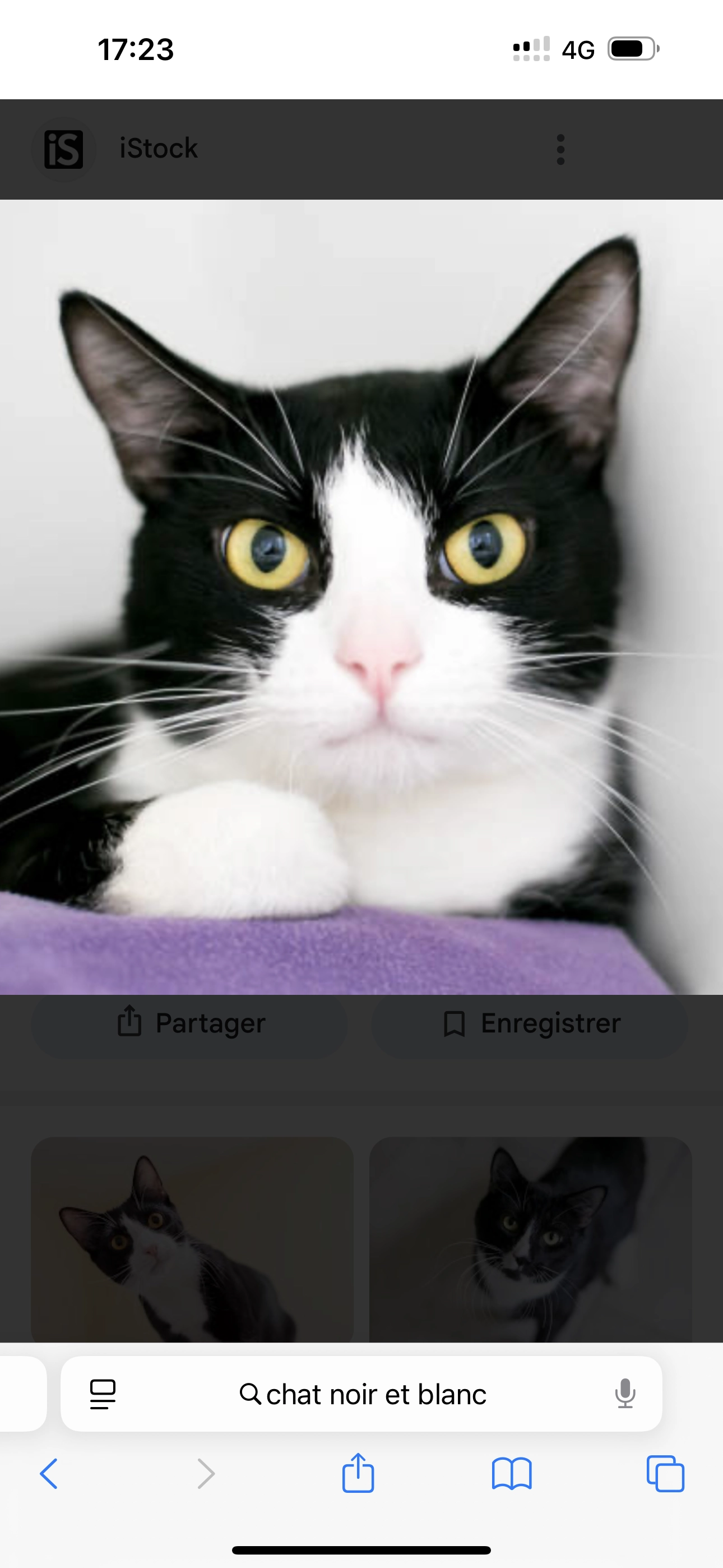 Millie - Rue De L'église, Les Écorces