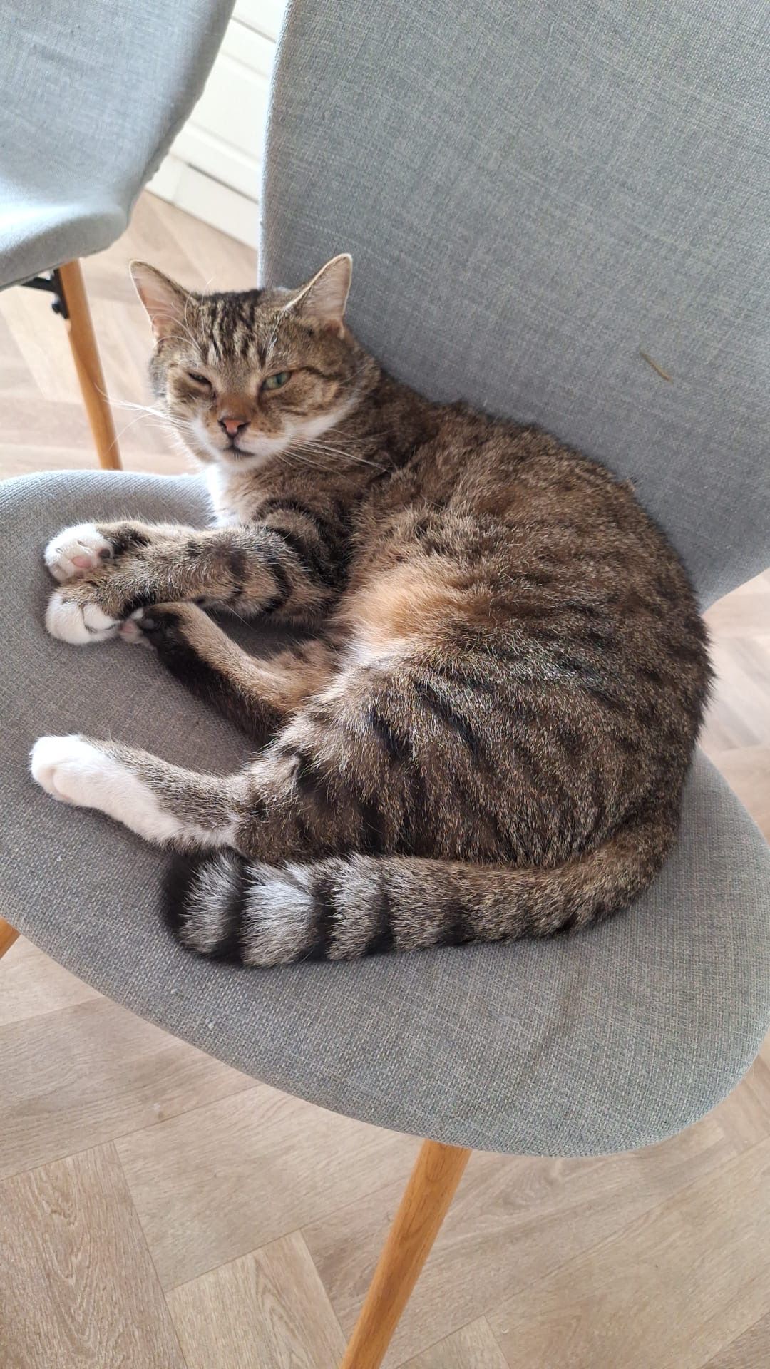 Loki - Hauptstraße, Wiesau