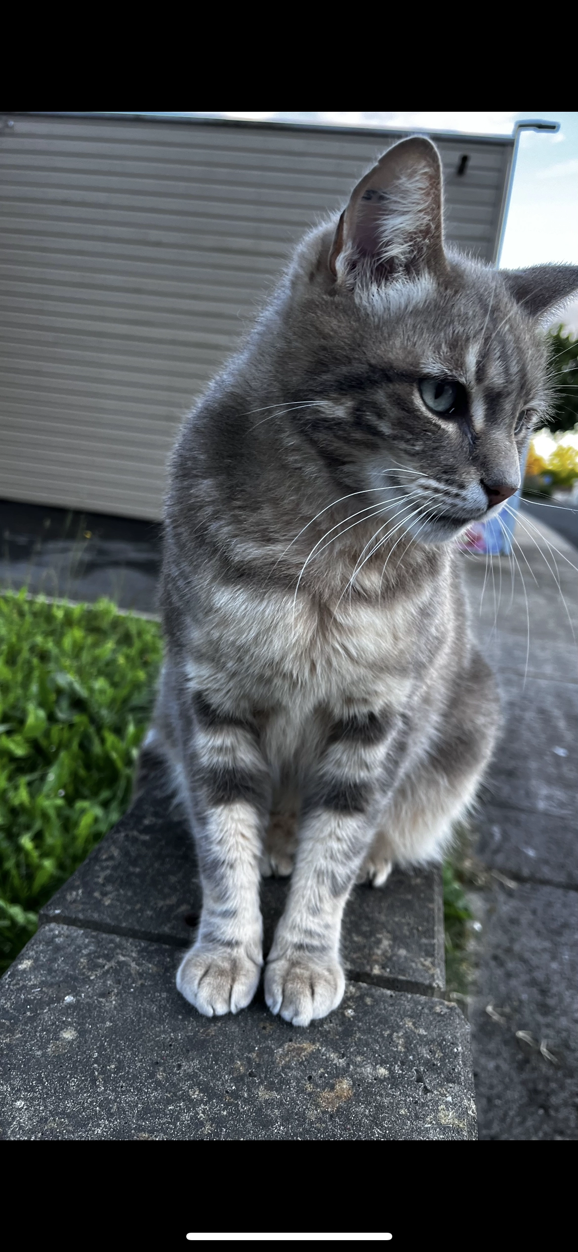 Smoky - Rue Marie Curie, Chancelade