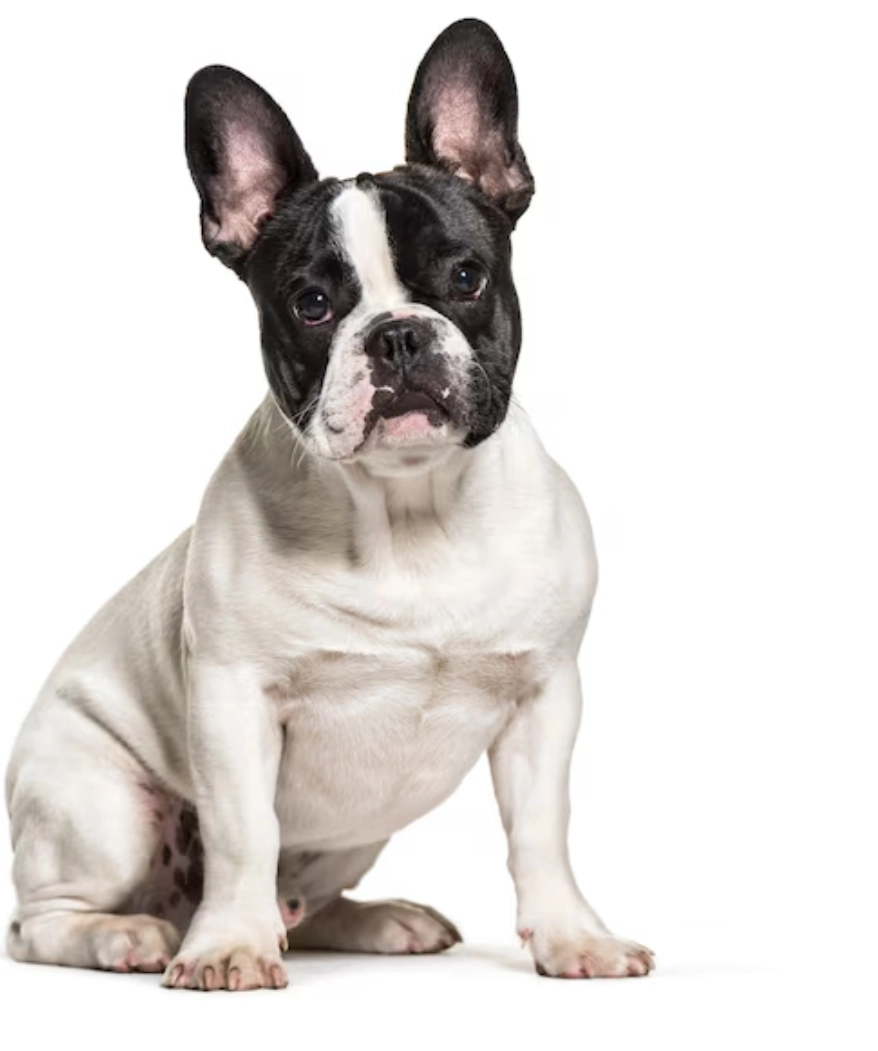 Dydi nebo dedenka - 21, Vojtanov