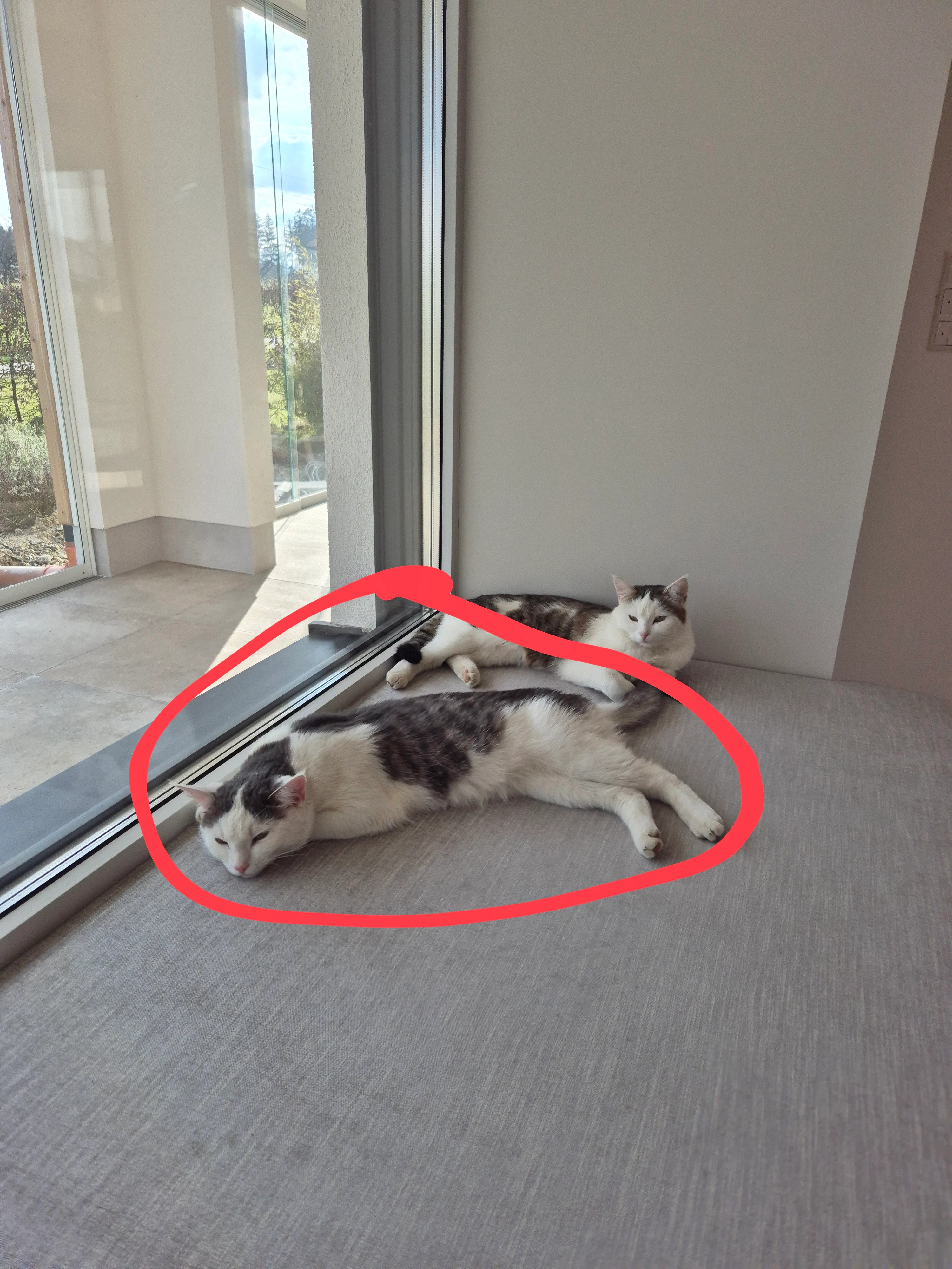 Mäci - Eggerding 21, Eggerding