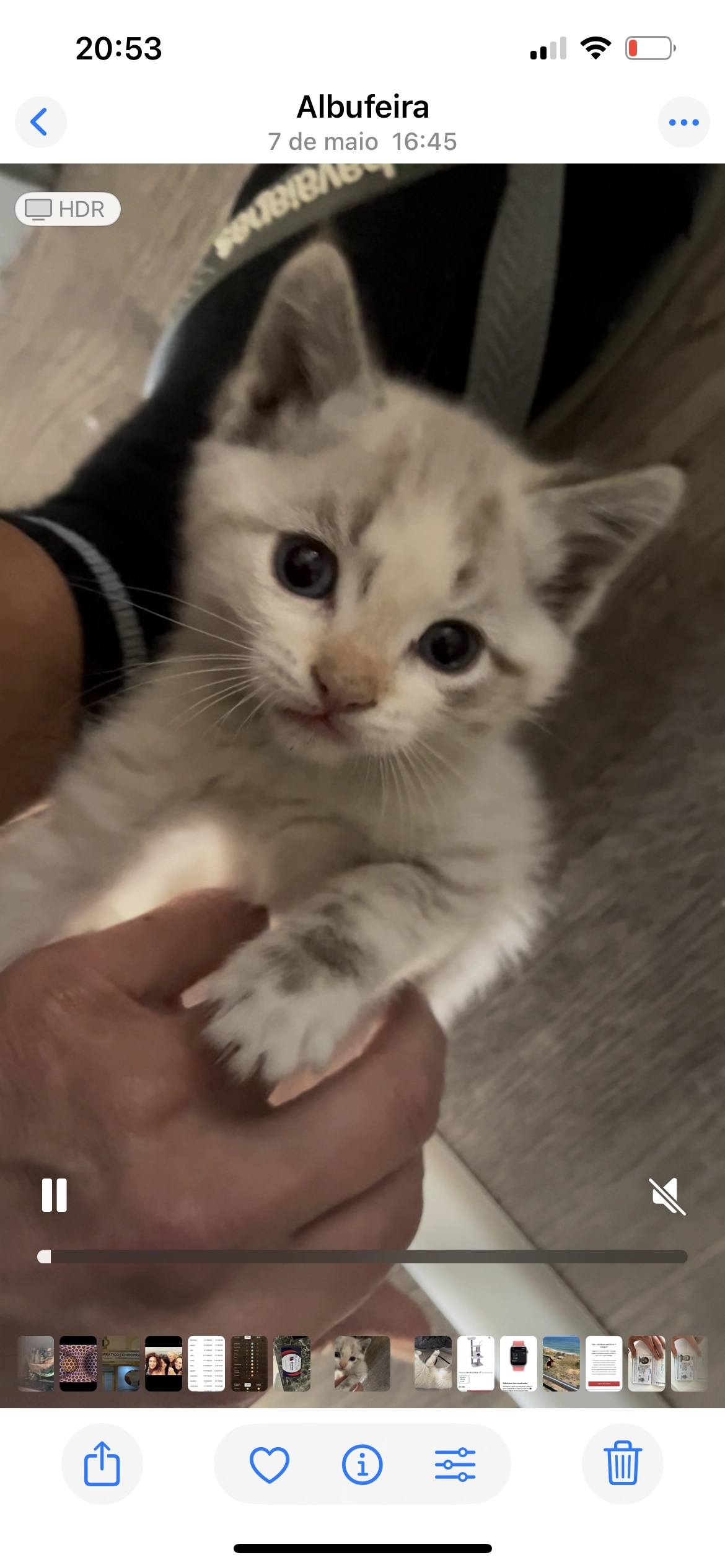 Mimosa  - Rua Primeiro de Dezembro 172, Ínsua