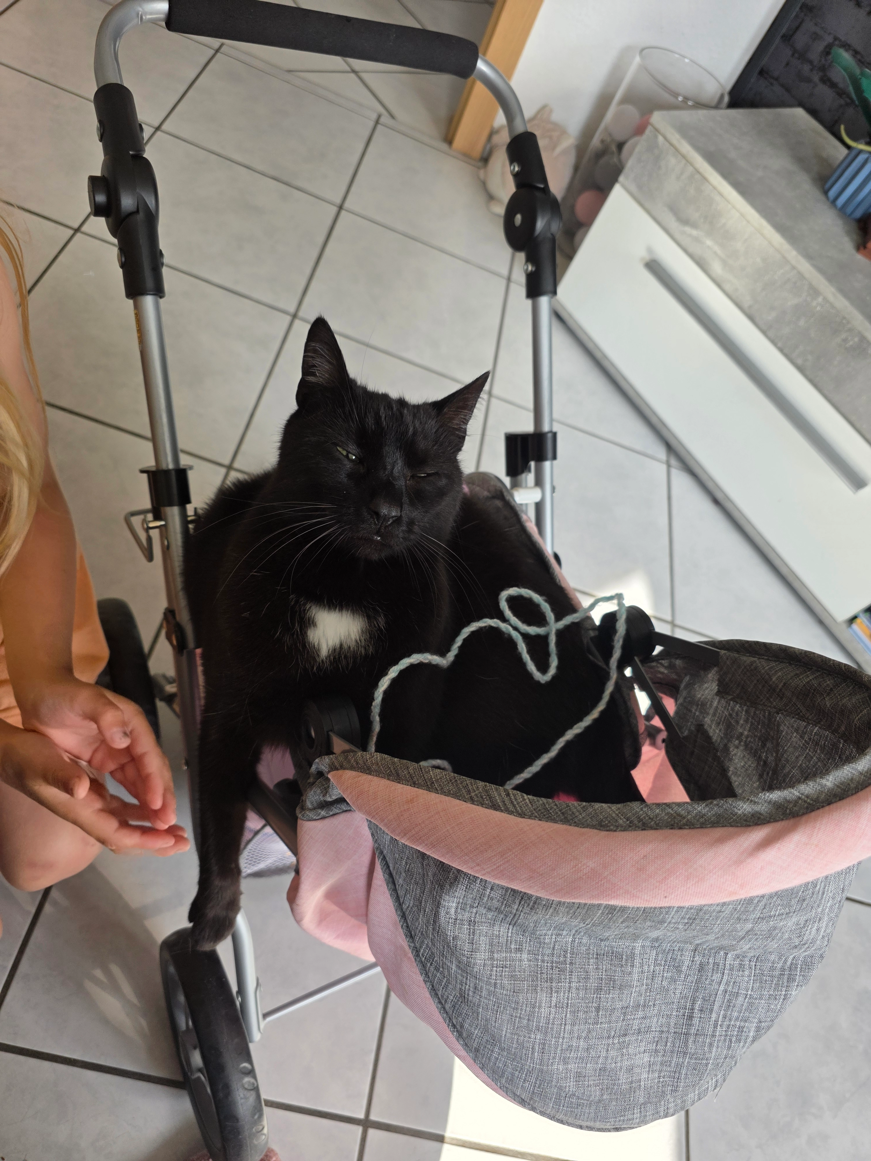 Filou  - Alter Postweg, Stemwede