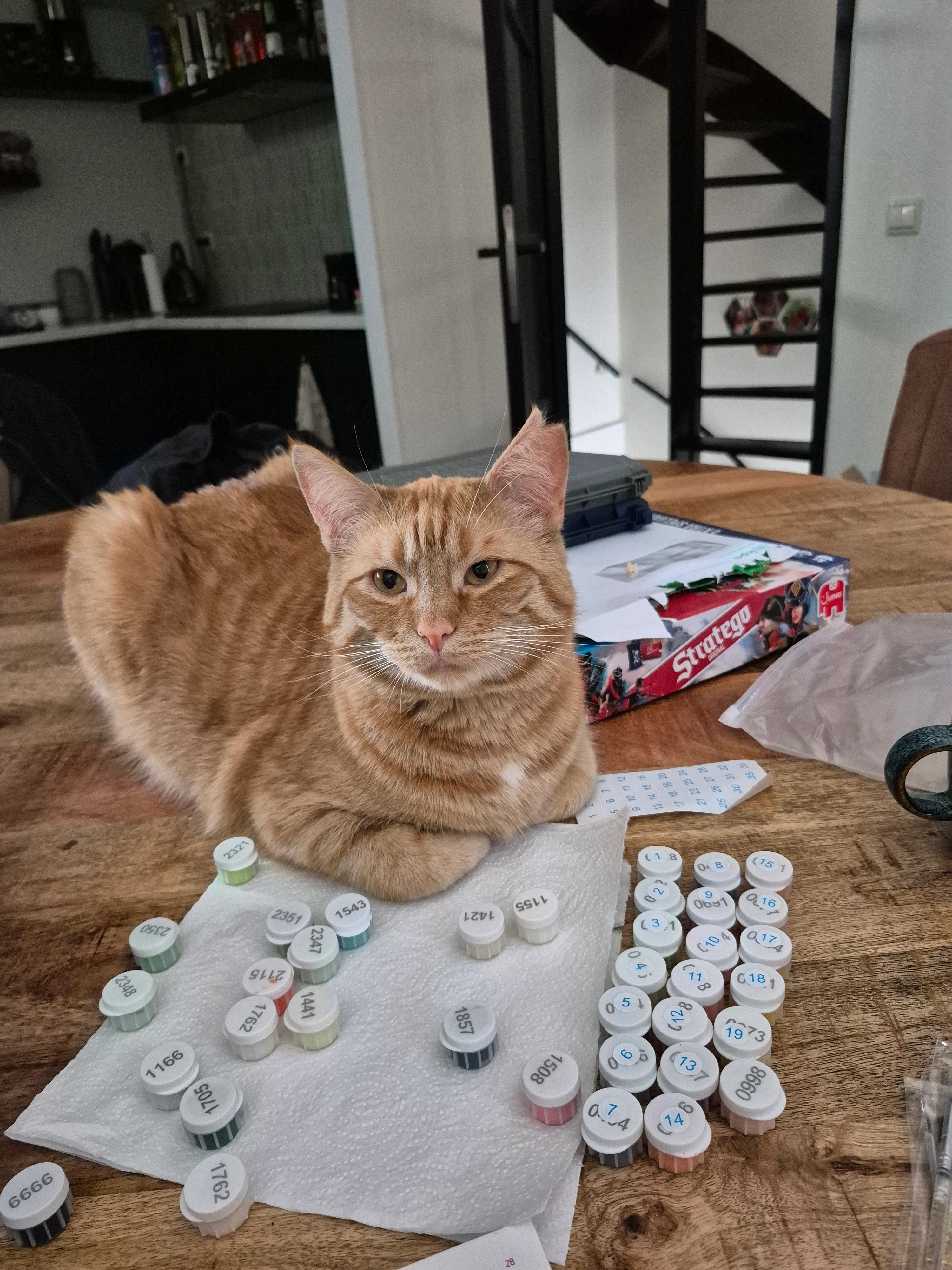 Sjimmie - Damstraat, Roosendaal