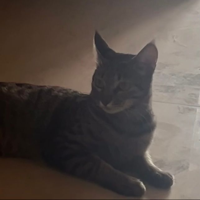 Sniff - Jalvayu, Kharar